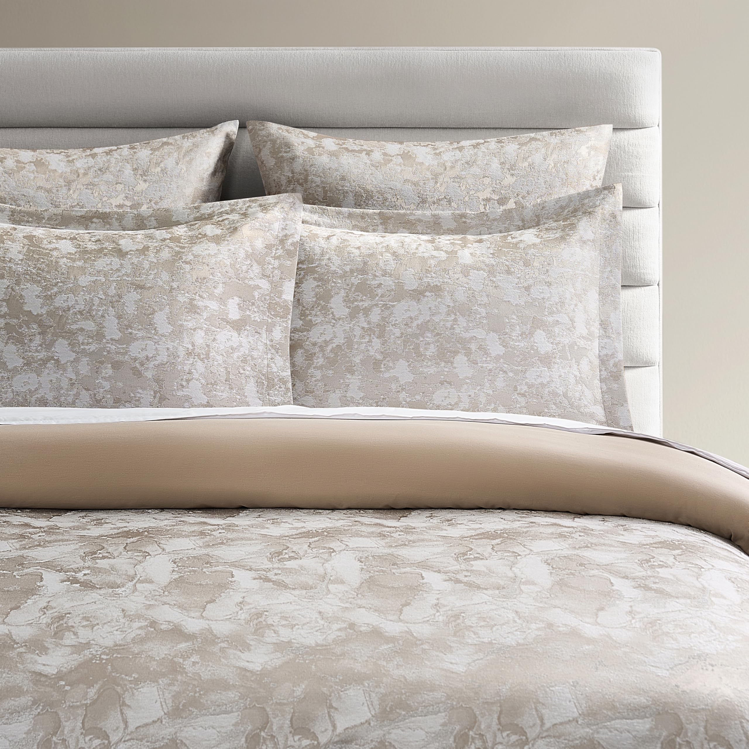 Amazon.com: Z Gallerie Nimbus Bedding Set - Queen Duvet Cover + 2