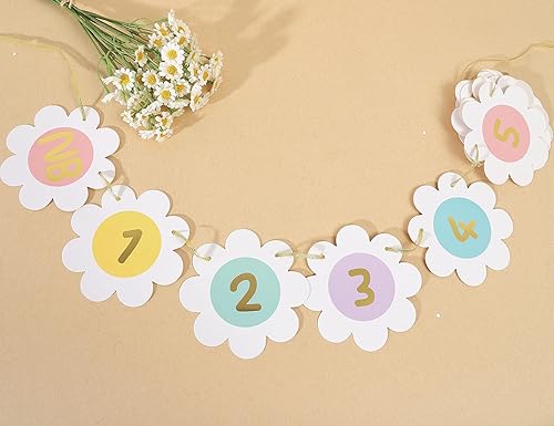 Miniatura 3 de Cartel de fotos mensual de margaritas, decoración de primer cumpleaños de margaritas bohemias, margarita arcoíris pastel, guirnalda de fotos de