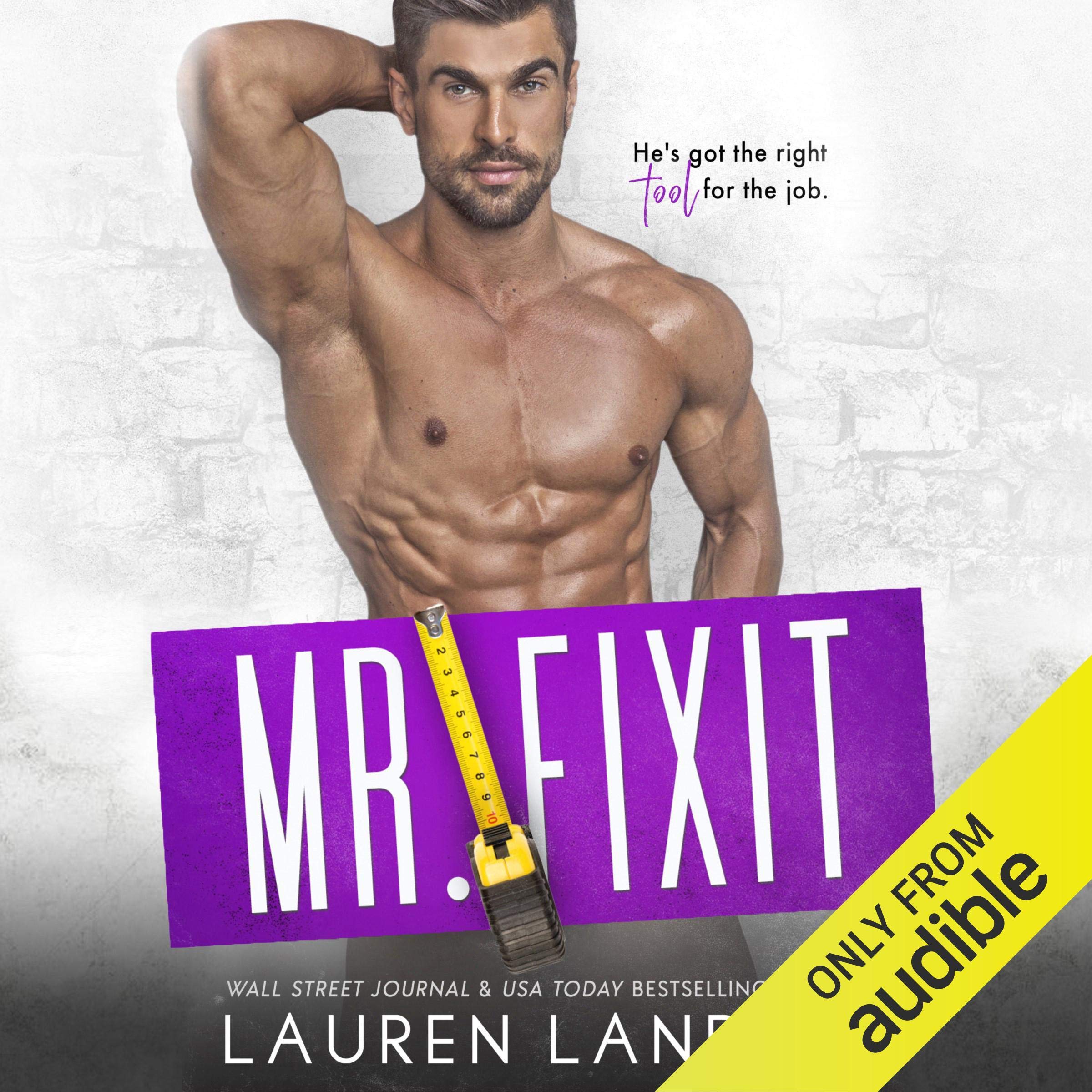 Cover art for Mr. Fixit