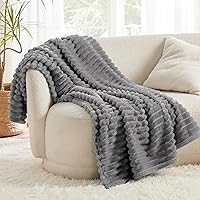 Vista 379 de Bedsure GentleSoft Twin Blanket for Couch - Cozy Soft Blankets for Women, Cute Small Fleece Throws for Girls, Light Grey, 60x80 Inches