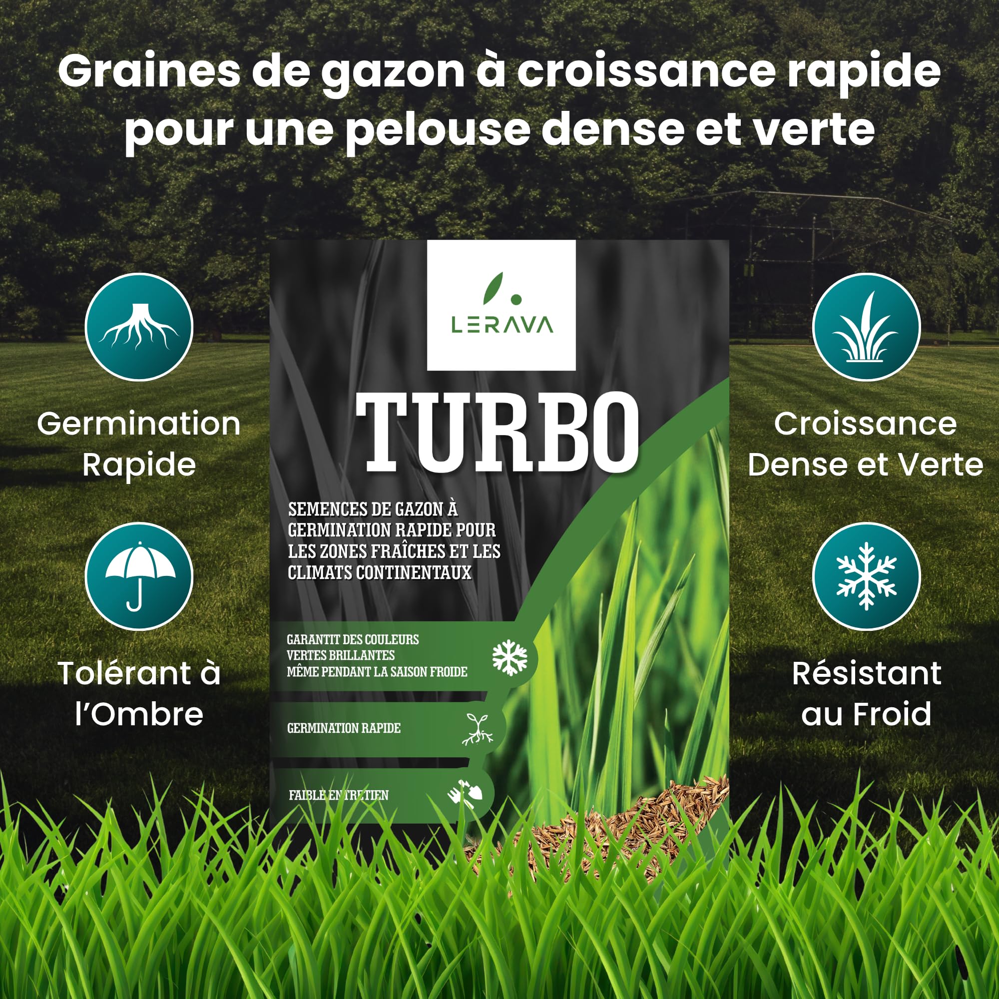 LERAVA Turbo gazon à semer pousse rapide 10m² pelouse ombre zones fraîches 98% pureté rustique vert vif semence résistante