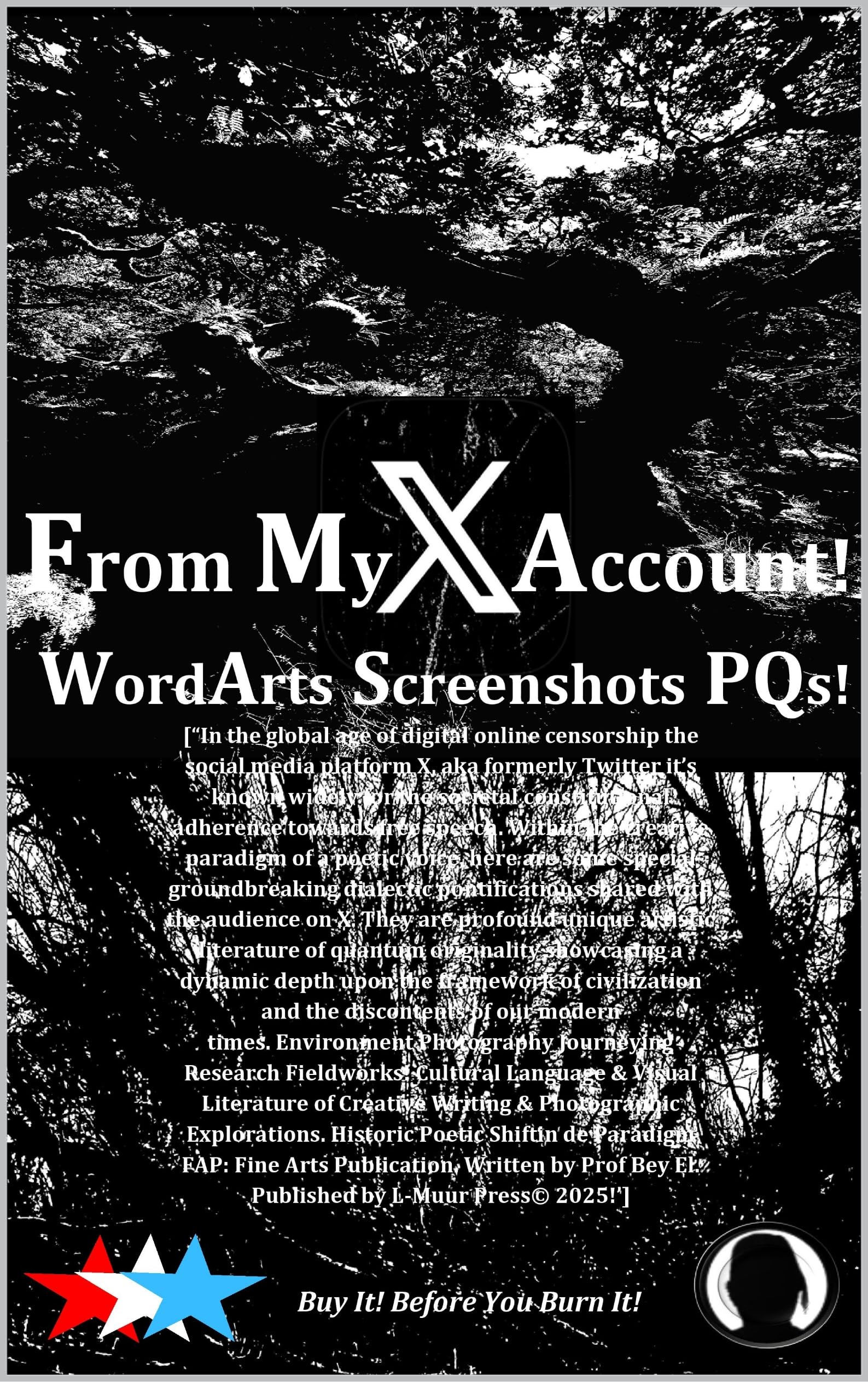 WordArts Screenshots PQs livre e-book typographie design graphique art digital anglais