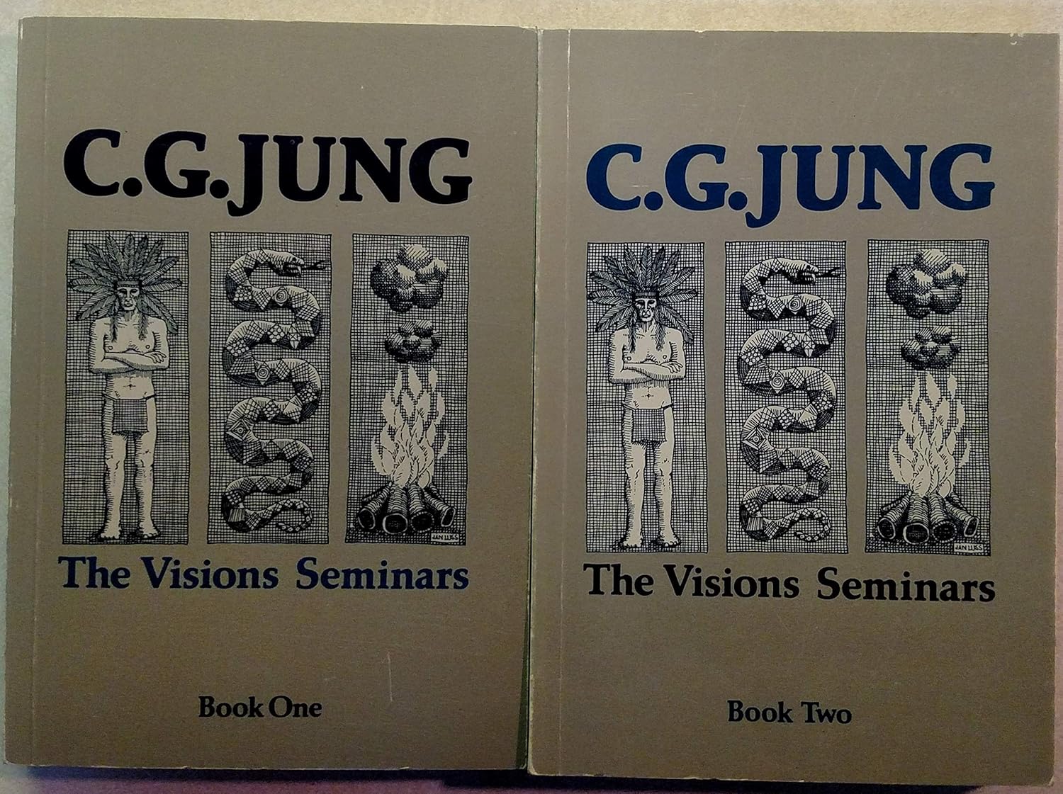 Visions Seminars Jung, C. G. Amazon.de Bücher