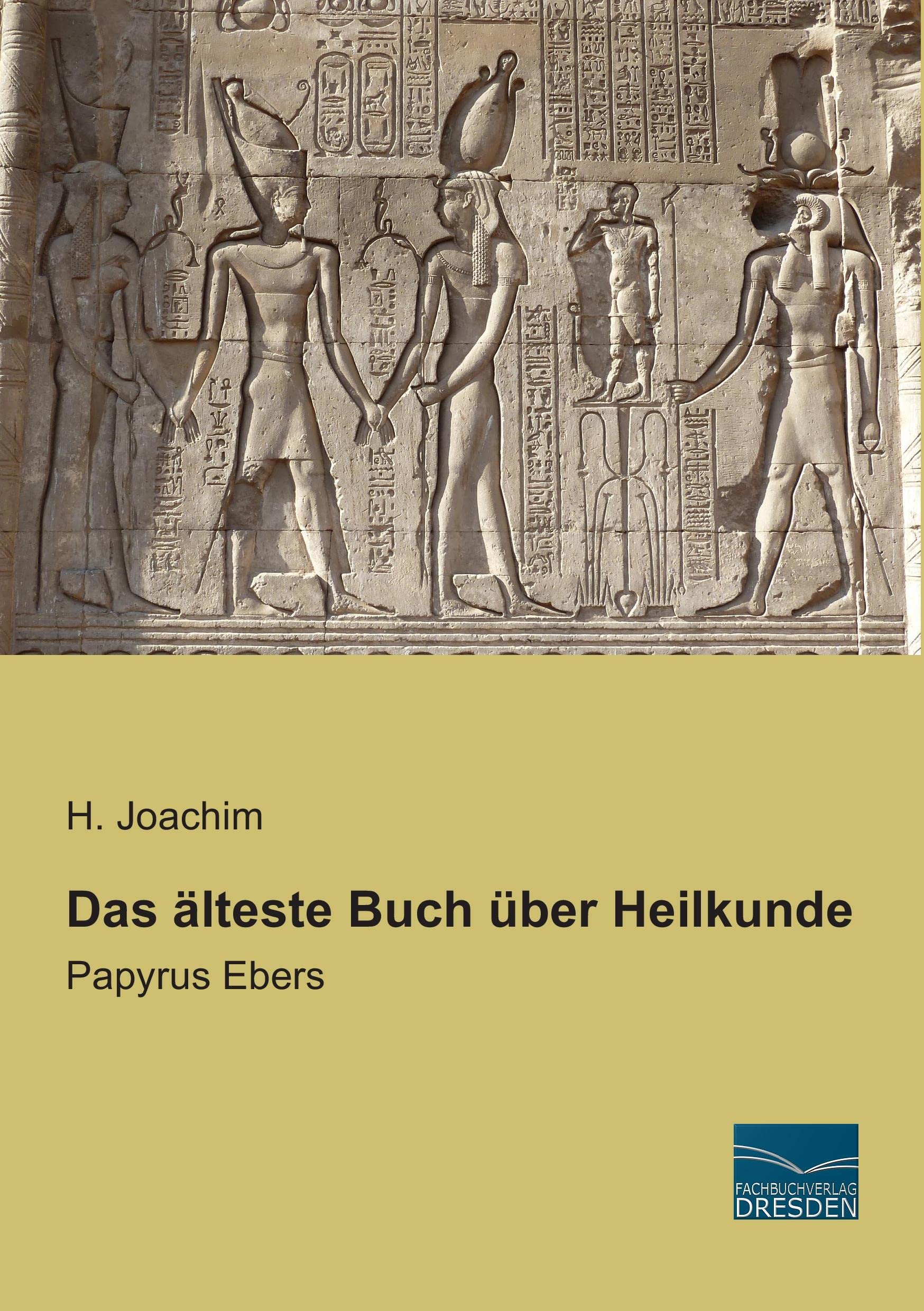 Das aelteste Buch ueber Heilkunde: Papyrus Ebers (German Edition)