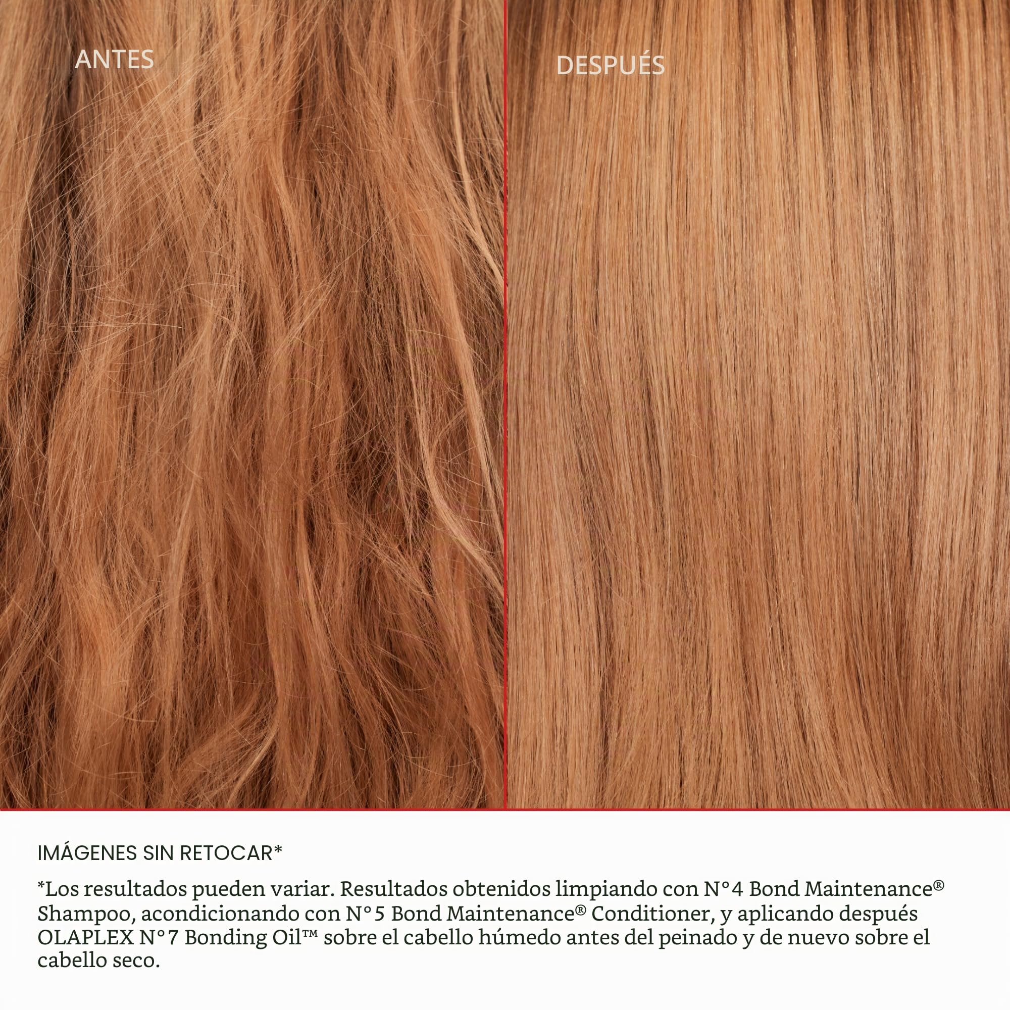 Healthy Hair Discovery Set