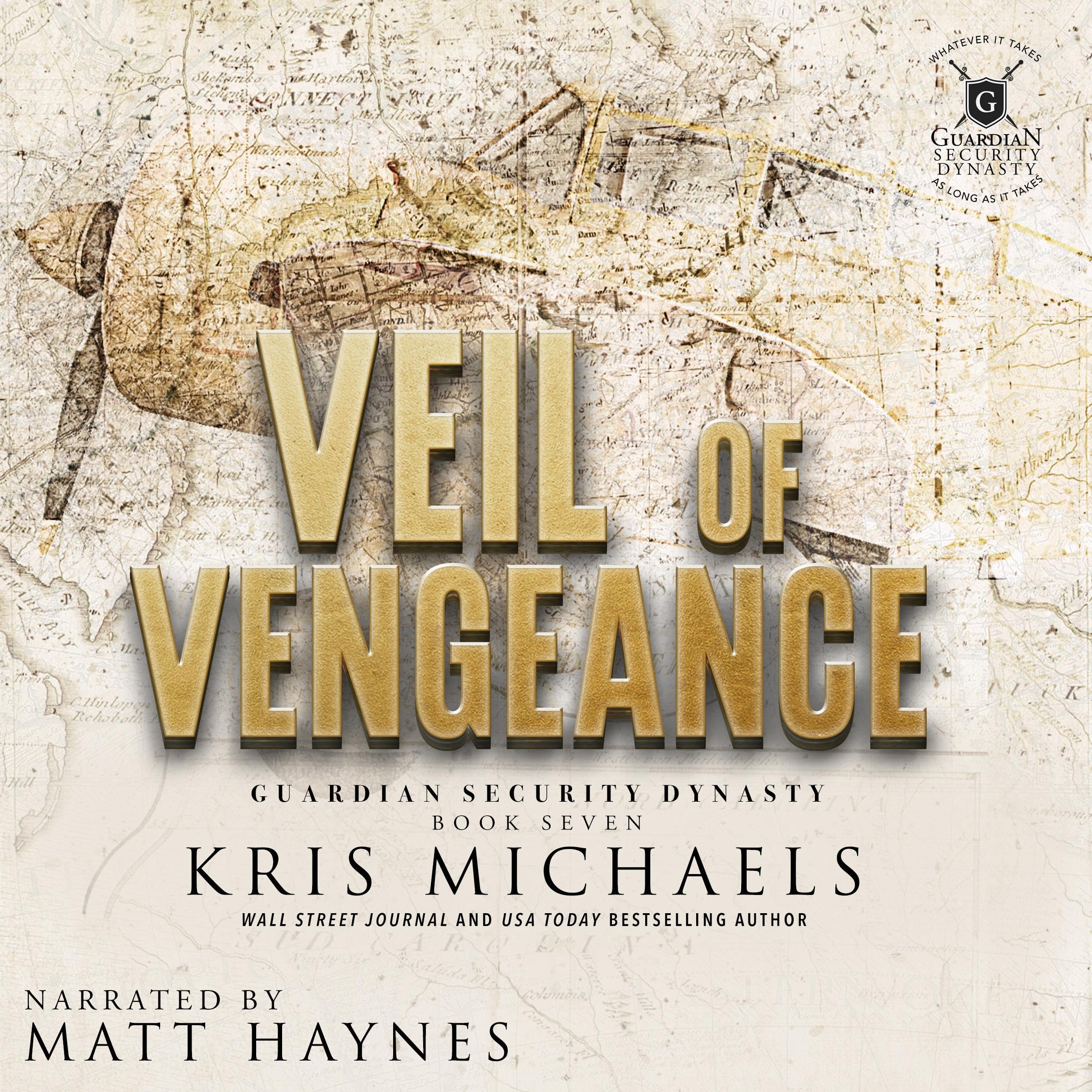 Cover art for Veil of Vengeance