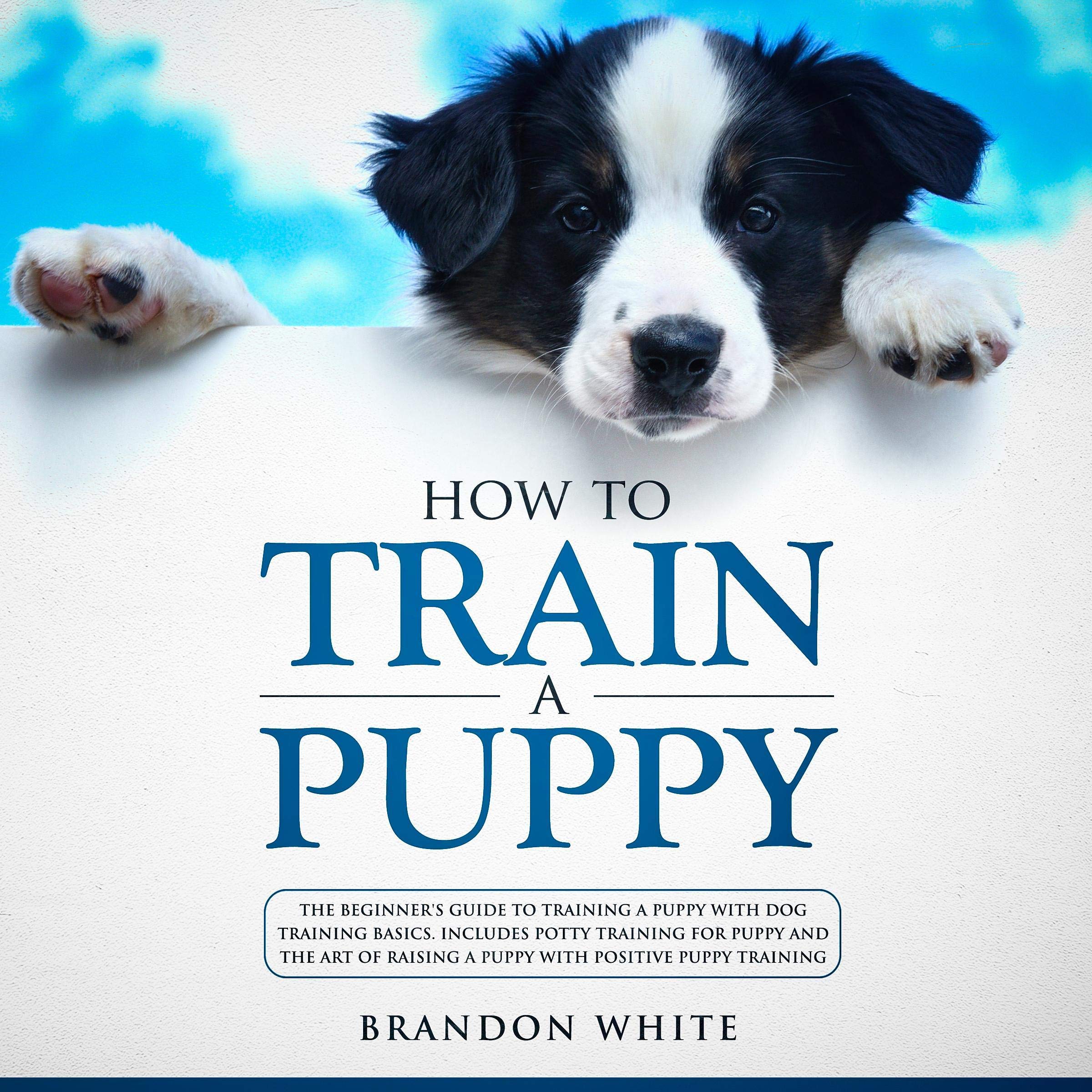 How to Train a Puppy: The Beginner's Guide to Training a Puppy with Dog Training Basics: Includes Potty Training for Puppy and The Art of Raising a Puppy with Positive Puppy Training