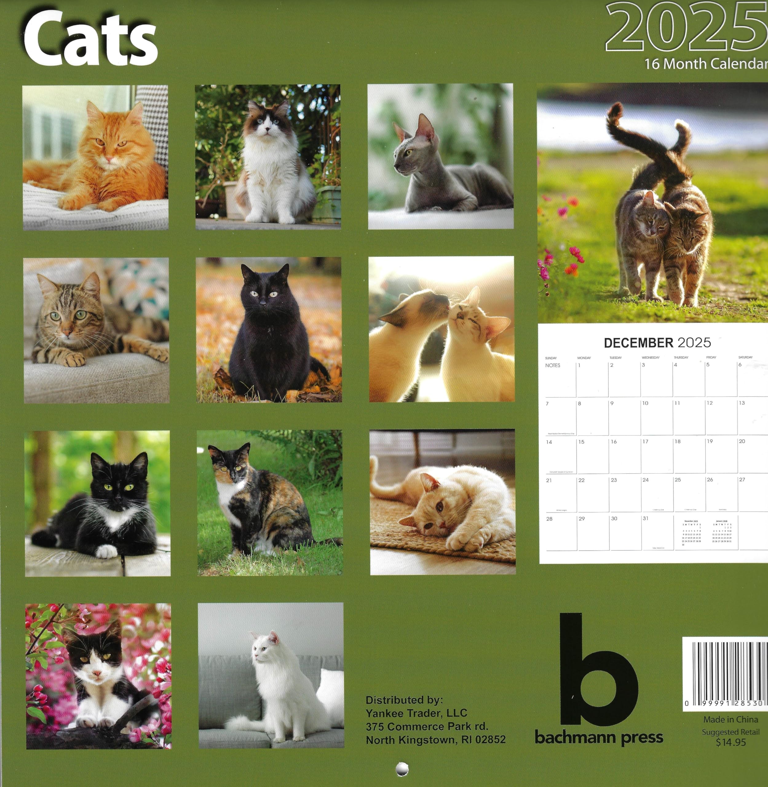 Calendario Animales Calendario De Pared 2025 Studio Pets Kittens | 12 Meses Con Espacio Para Notas Póster Regalo Calendario Decorativo Animales