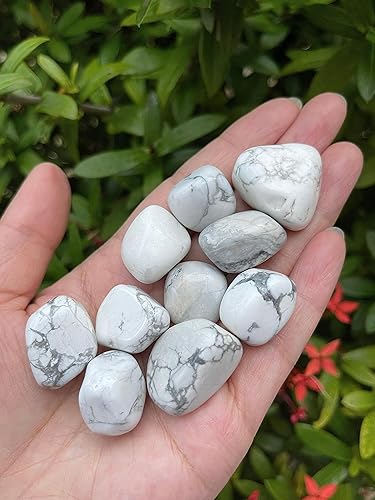 Miniatura 264 de GAF TREASURES Piedras pulidas de ojo de tigre de 1/2 libra, piedra preciosa natural pulida, cristales curativos de ojo de tigre (ojo de tigre)