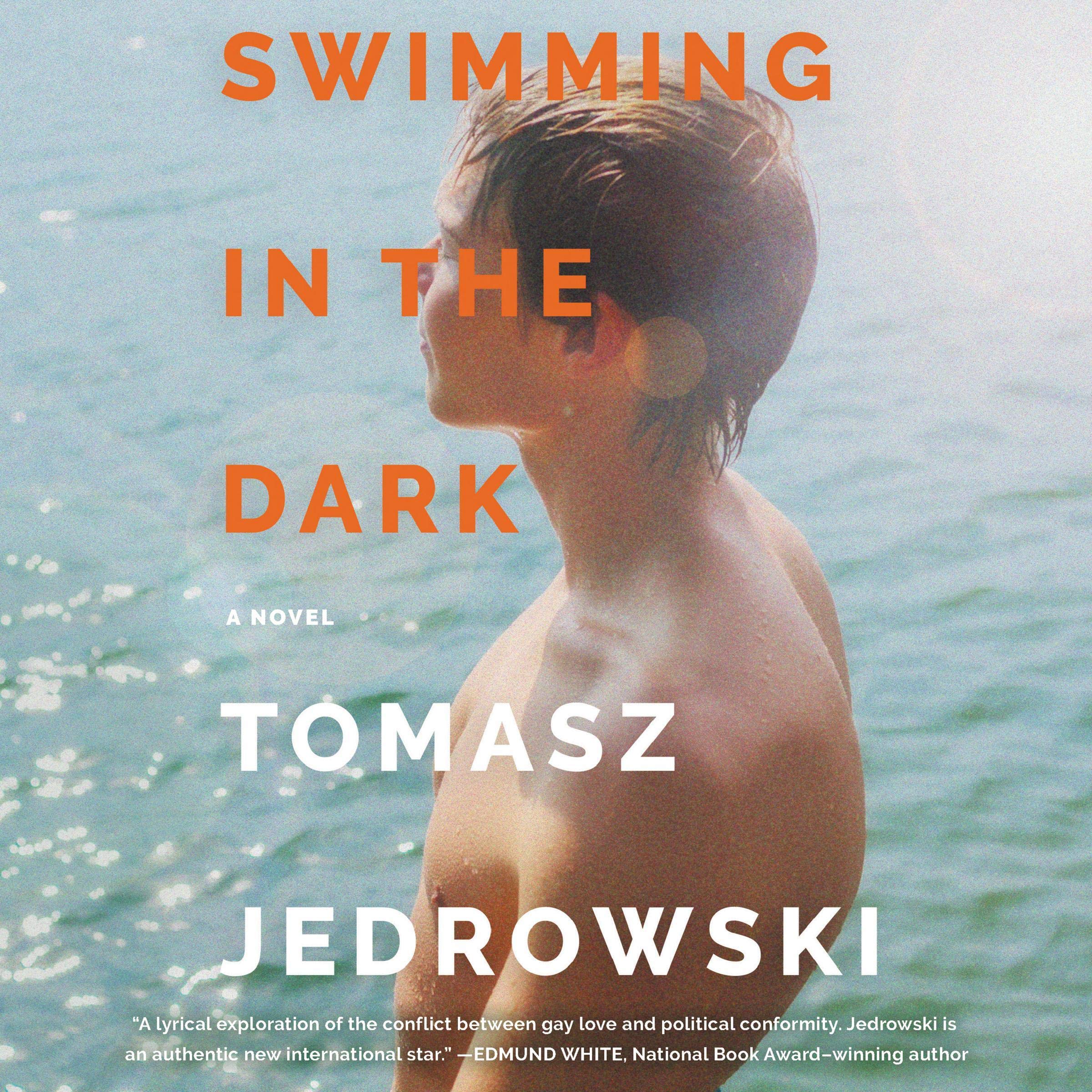 Cover art for Swimming in the Dark
