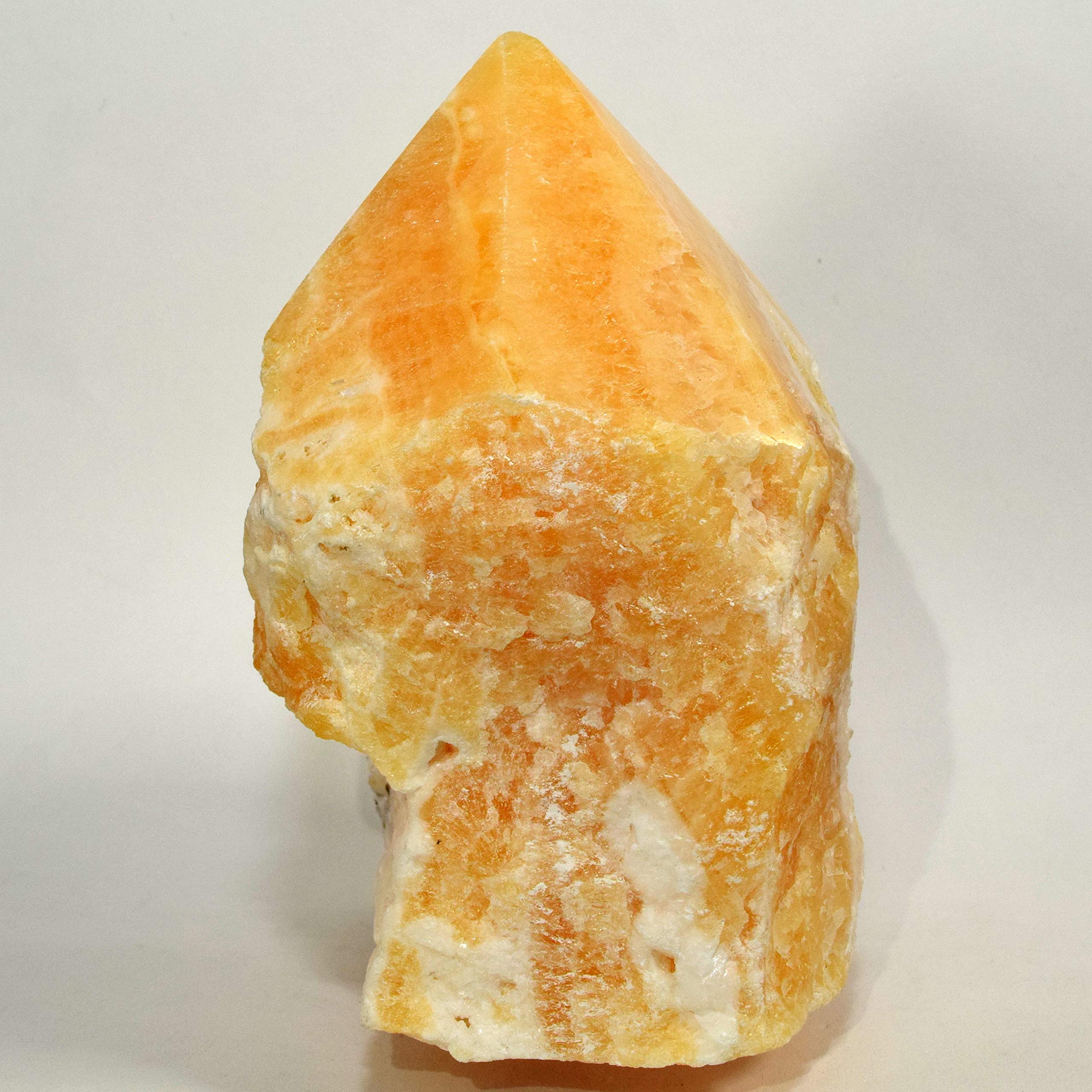 Amazon.co.jp: 大型4.8インチ2.4ポンド オレンジカルサイト