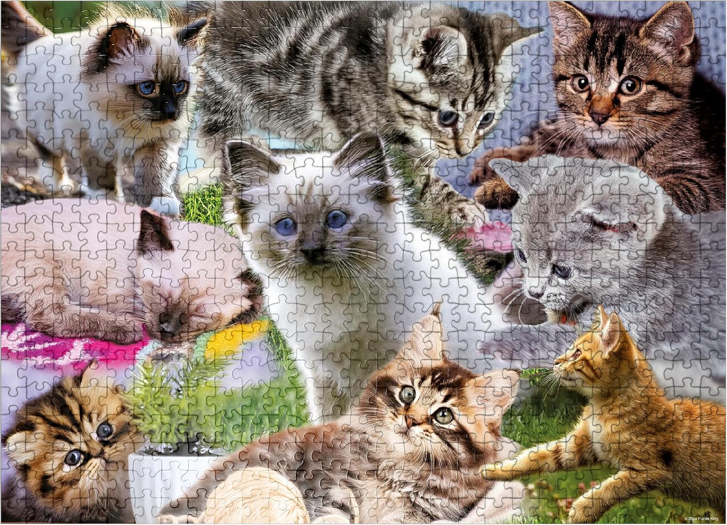 MyPuzzle Kitten Cuties - Premium 500 Piece Jigsaw Puzzle for Adults