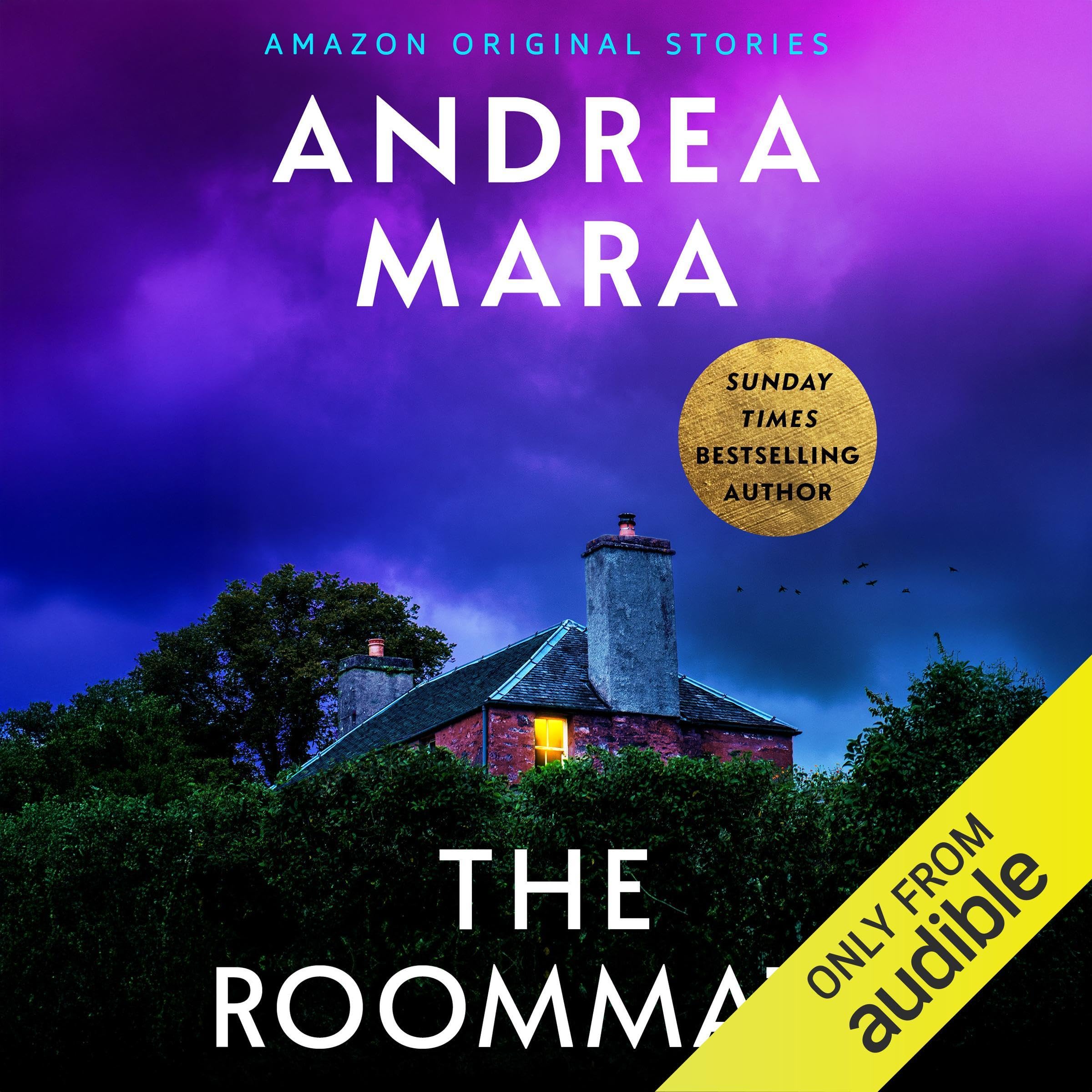 Cover art for The Roommate: Deadly Ambition Collection