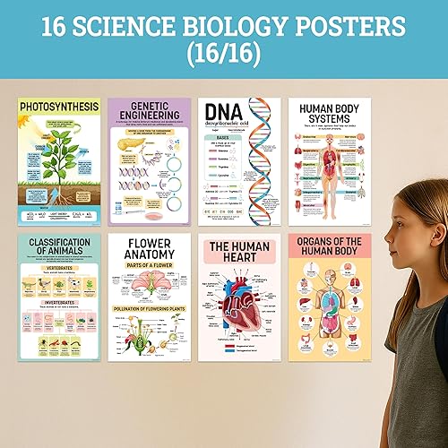 Miniatura 4 de Decorably 16 pósteres de biología para aula, 11 x 17 pulgadas, póster de ciencia educativa laminado mate para aula, pasillos escolares, tablones de