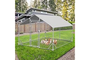 Walk-in Metal Chicken Coop for Outdoor Farm Use