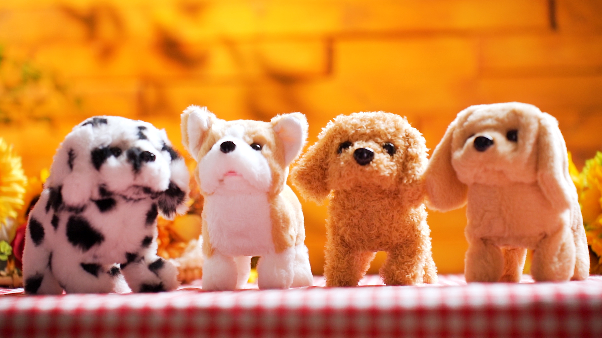 Amazon.com: Halloscume 4 Pcs Interactive Dog Toys for Kids