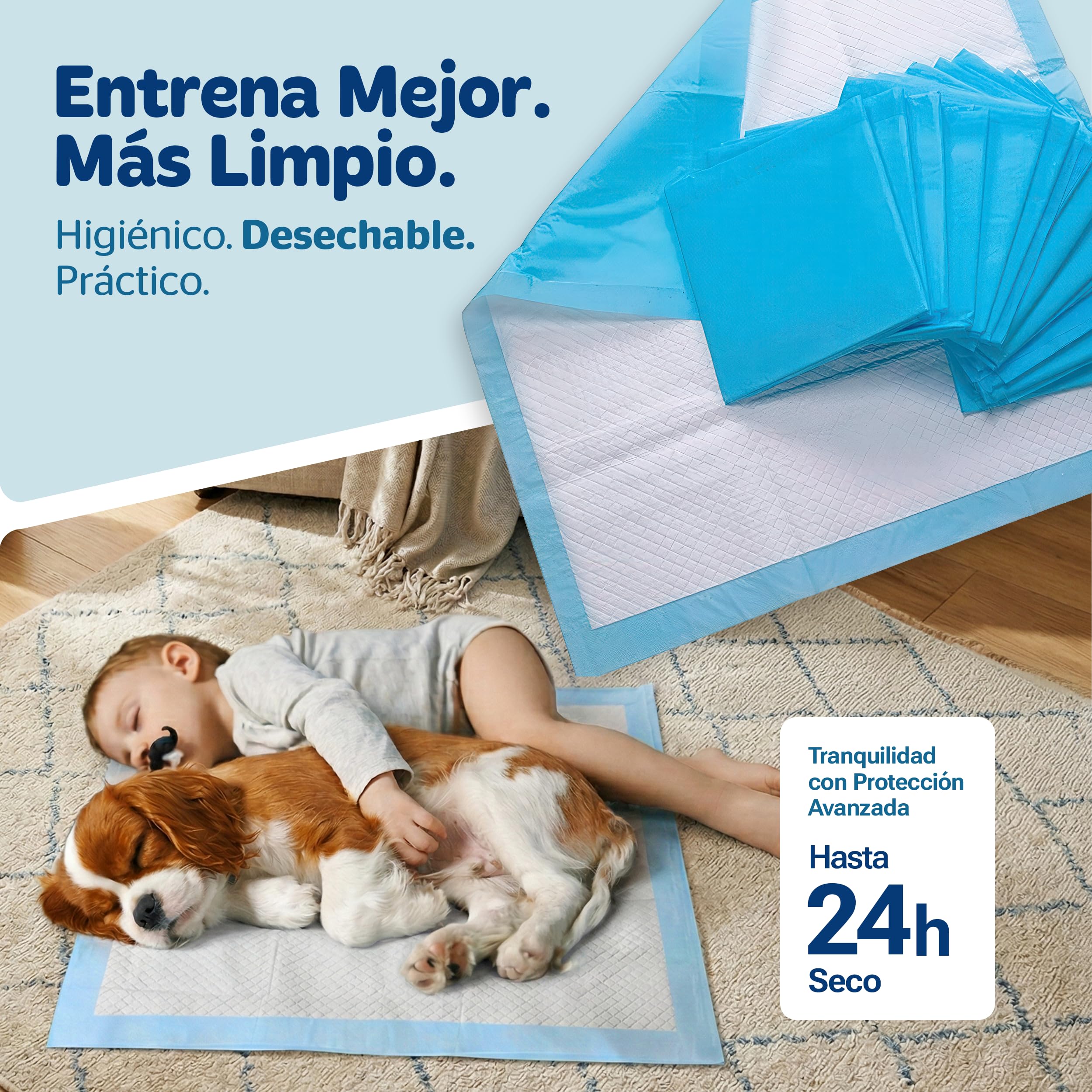 PORTENTUM Empapadores Perros 90x60 cm 100 Unidades – 6 Capas absorbentes antifugas con Control de olores – Alfombrillas Desechables para Entrenamiento – Inodoro para Perros