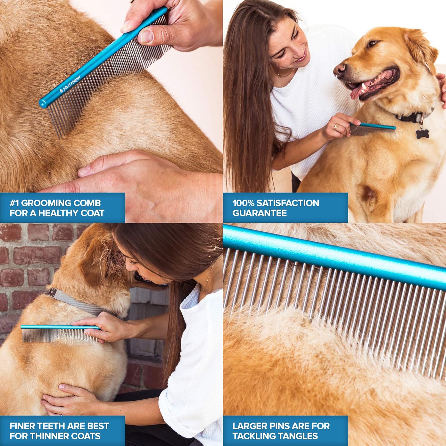 Paws Pamper Professional Greyhound Comb for Dogs and Cats : Pet Supplies