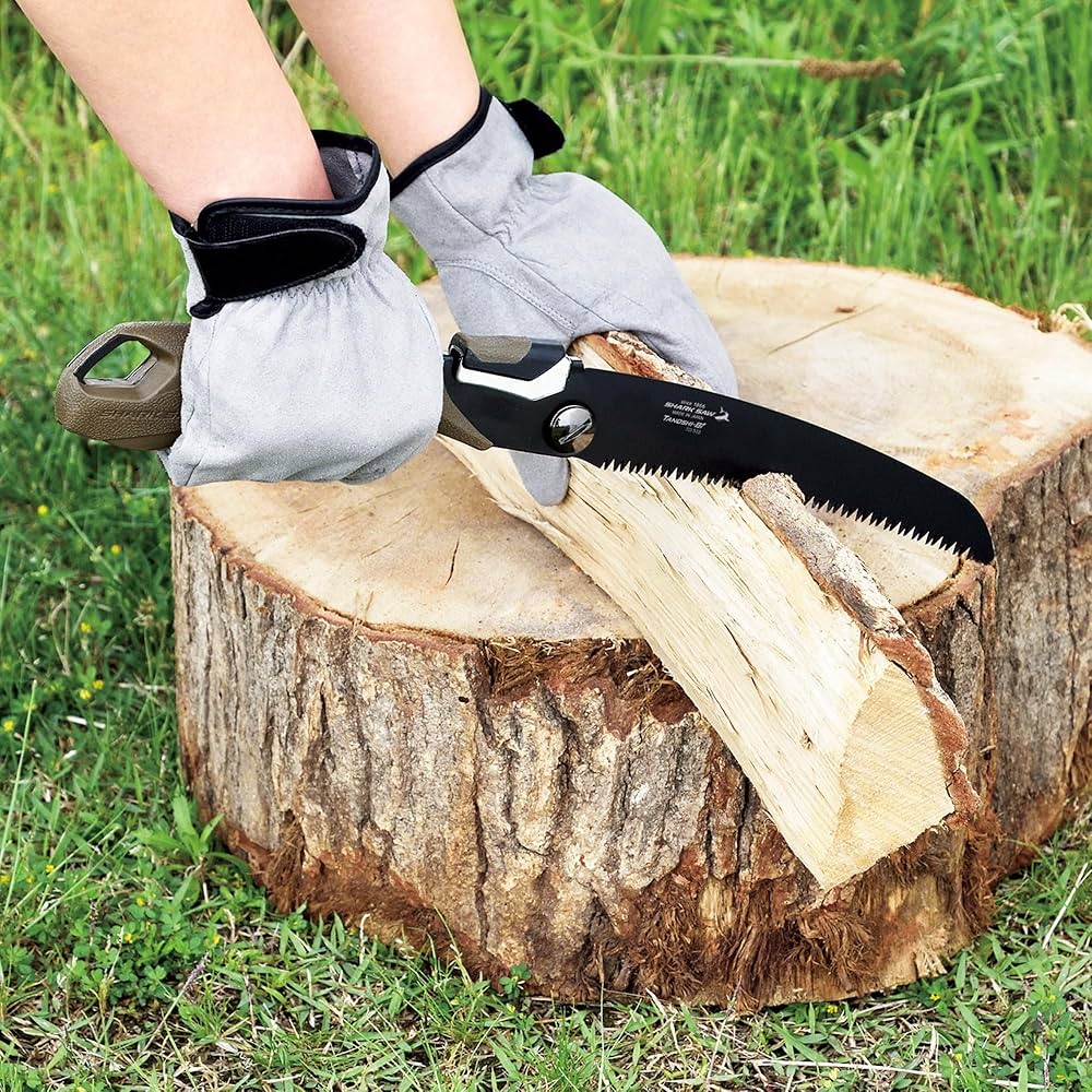 【Pスタン】ルアード 儀式ギーゼ デッキ 50枚、Gゾーン16枚 Pスタン】儀式ルアード デッキ 50枚 + Gゾーン16枚完備 D-SS10