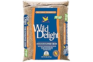 Wild Delight Fine Sunflower Chips: The Ultimate Crunchy Snack for Health-Conscious Individuals