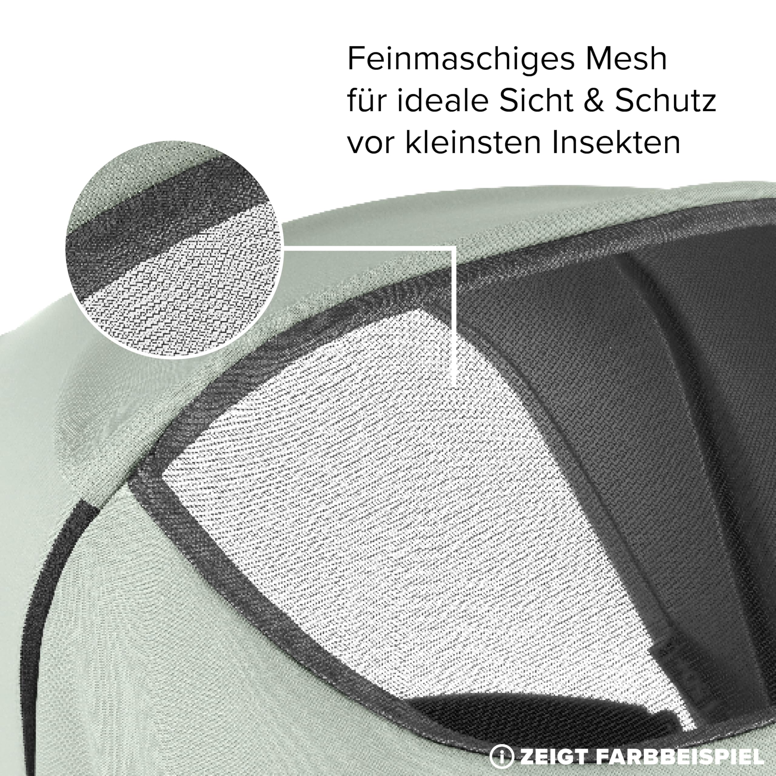 aloe vera gieen wie viel Aloe Vera Alfonso  Aloe-Vera-Pflanze in Grtnerqualitt kaufen
