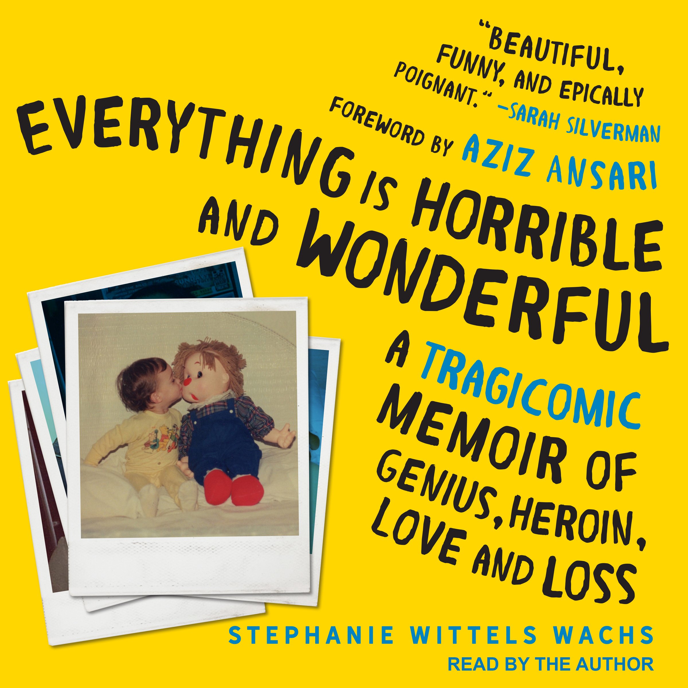 Cover art for Everything Is Horrible and Wonderful