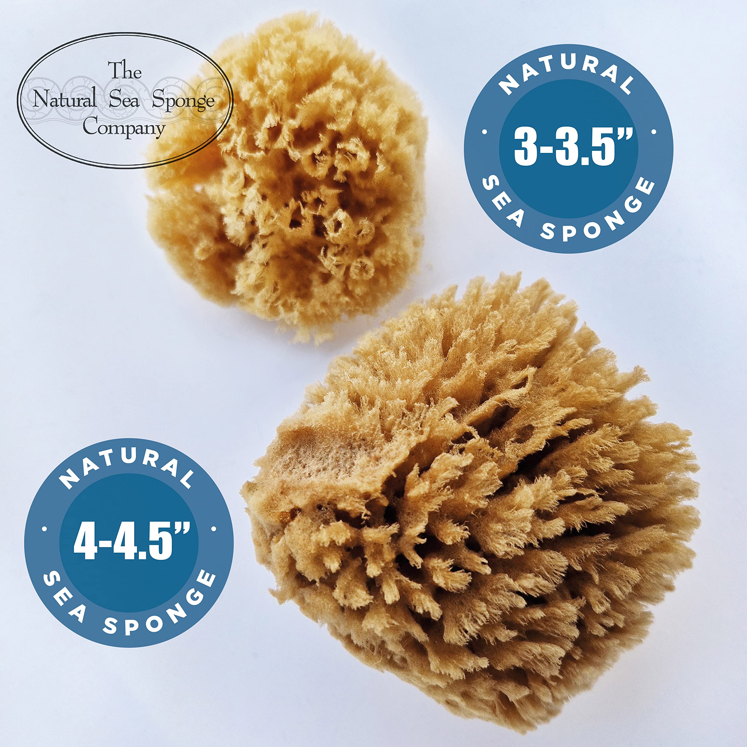 Natuurlijke Zeesponzen Schilderen - 12 Stuks Voordeelpakket Voor Kunst & Ambacht