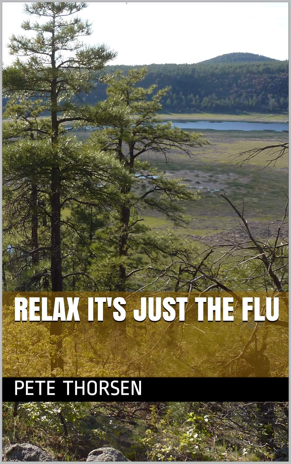 Relax It's Just The Flu eBook : Thorsen, Pete: Amazon.com.au: Kindle Store