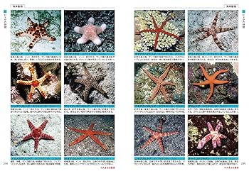 Amazon.co.jp: 日本の海水魚と海岸動物図鑑 1719種 : 小林 安雅: 本