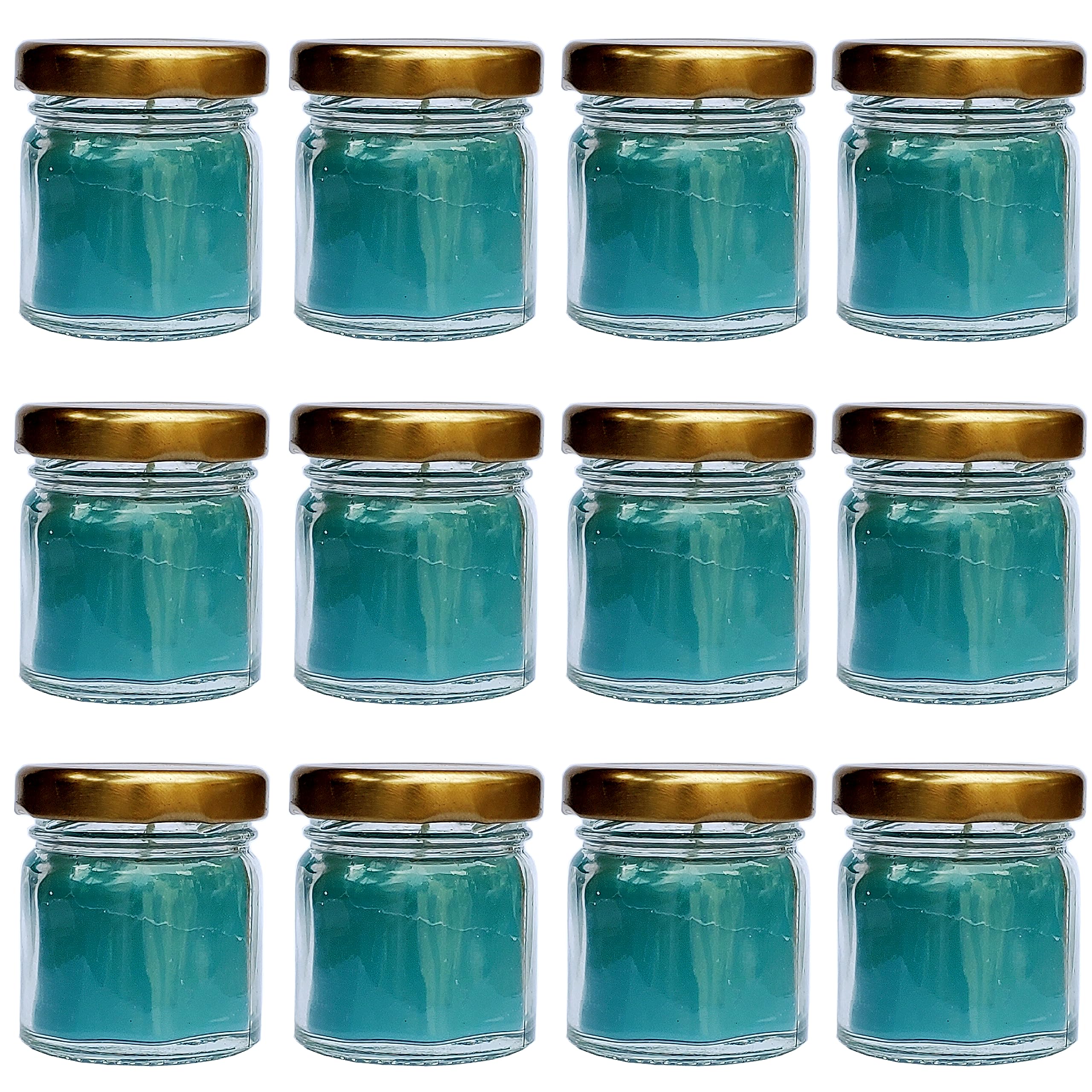 Pure Indian Candle Handpourd Evergreen Forest Scented Mini Jar Wax Candle (Pack of 12 Pcs.) PICJC198234