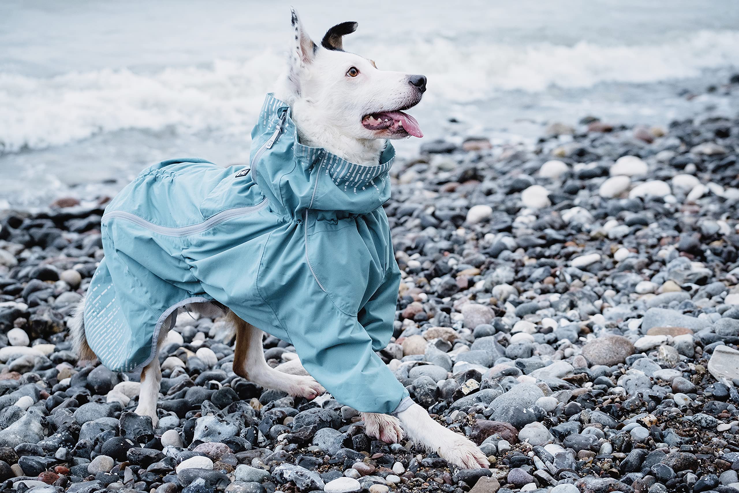 Moral Annehmen Steward hurtta hundemantel mit beinen Schwachsinnig lila