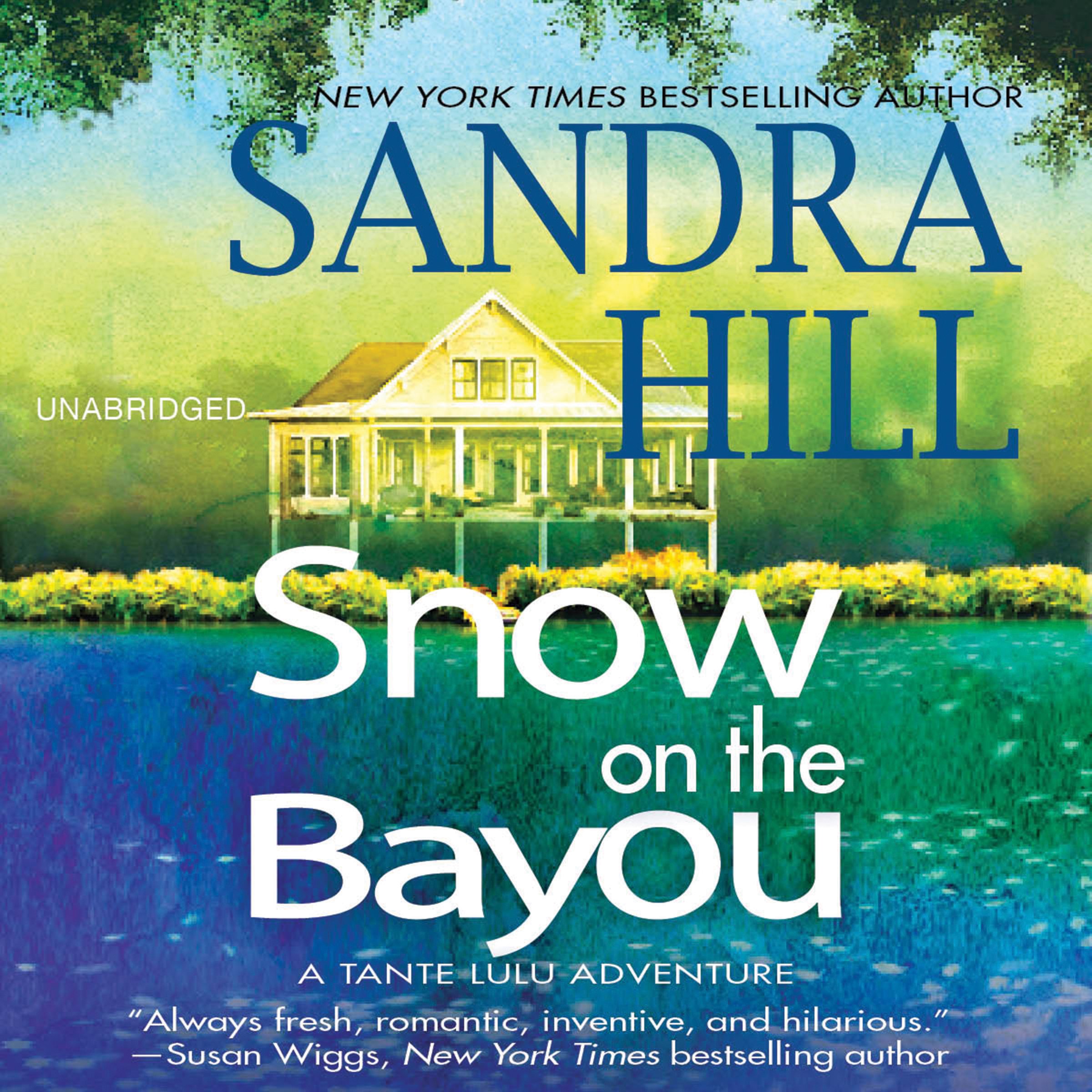 Cover art for Snow on the Bayou