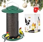 iBorn Metal Bird Feeder for Outside Hanging,Wild Bird Feeders for Cardinal, 18cm Large Roof&Tray Green 6 Port (Seed is not Included)