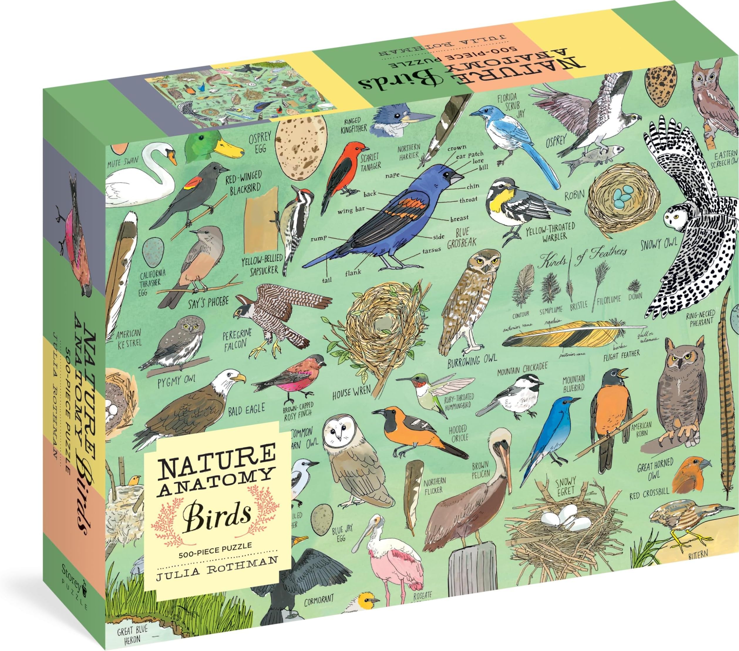 Nature Anatomy: Birds