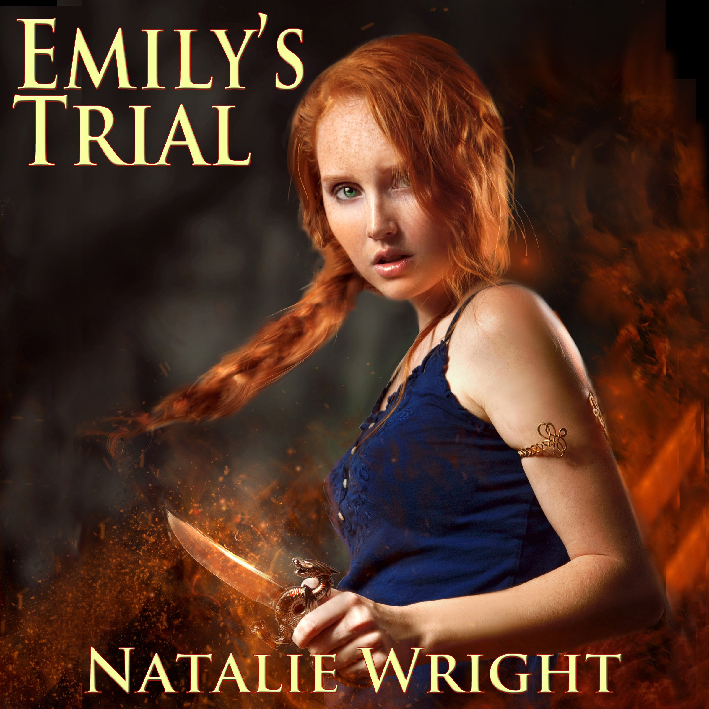 Cover art for Emily's Trial