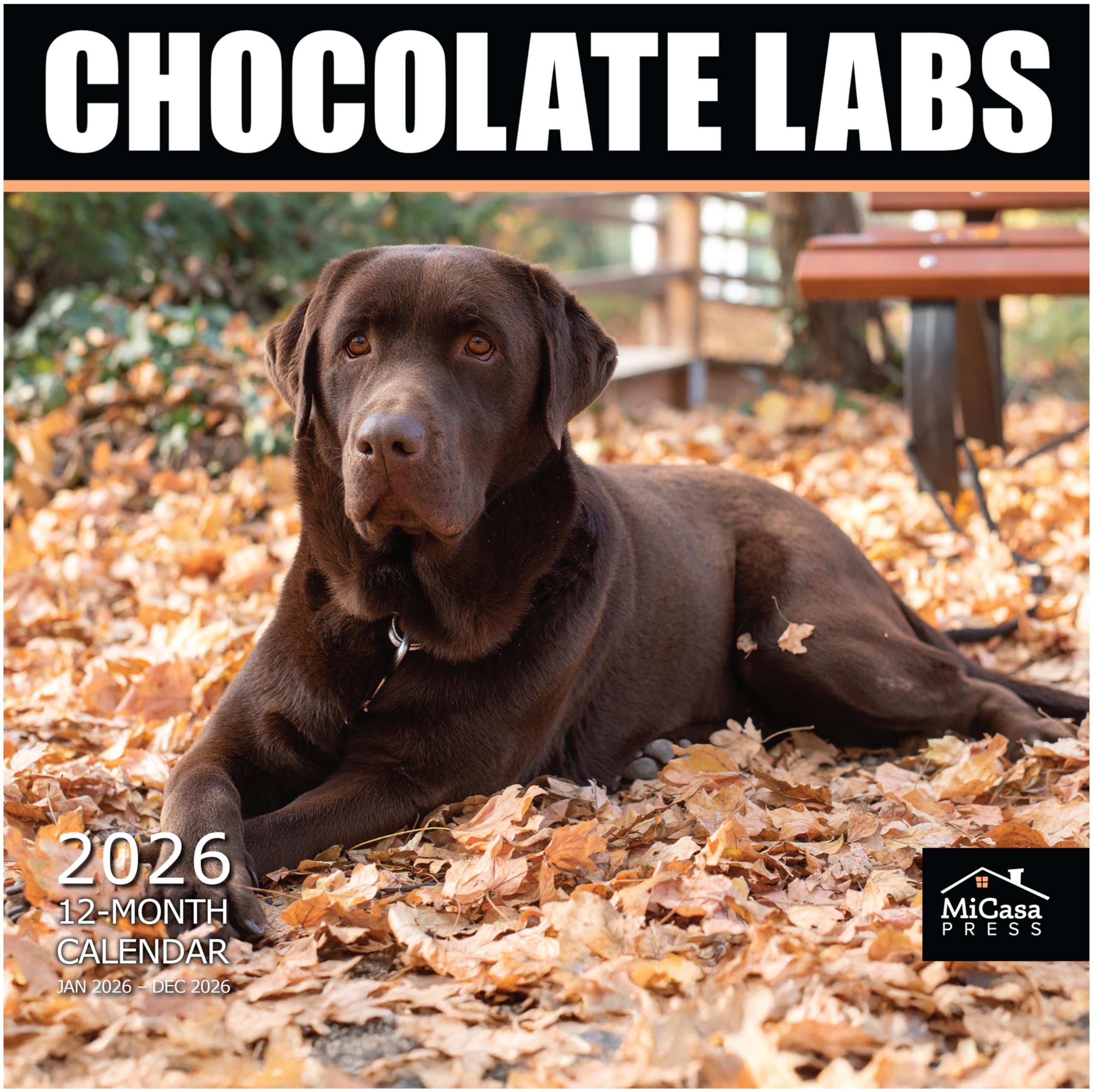 MICASA PRESS Chocolate Labs 2026 Wall Calendar 12 Month | 12" x 24" Open | Thick &amp; Sturdy Paper | Giftable | Cute Labrador Retriever Puppy Dog Calendar 2026