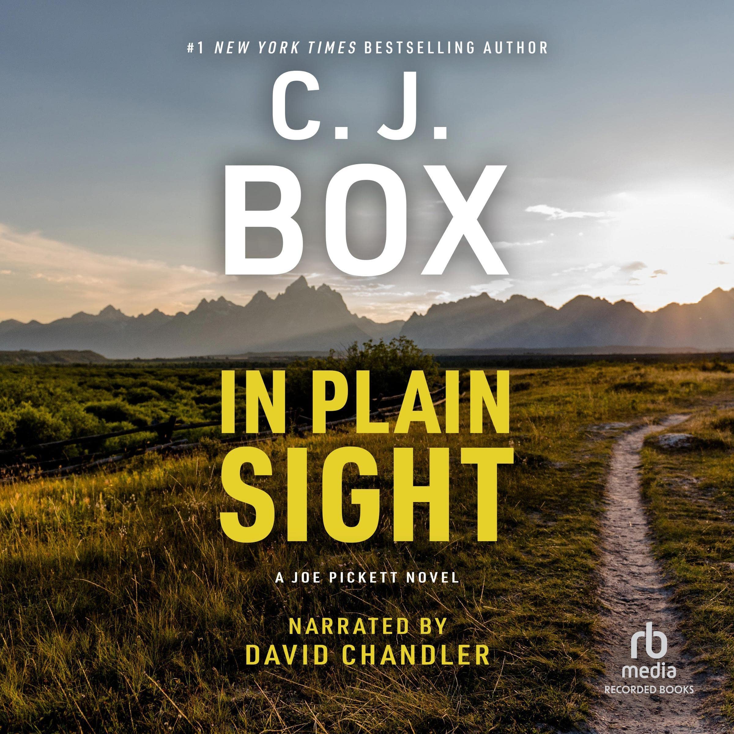 Cover art for In Plain Sight