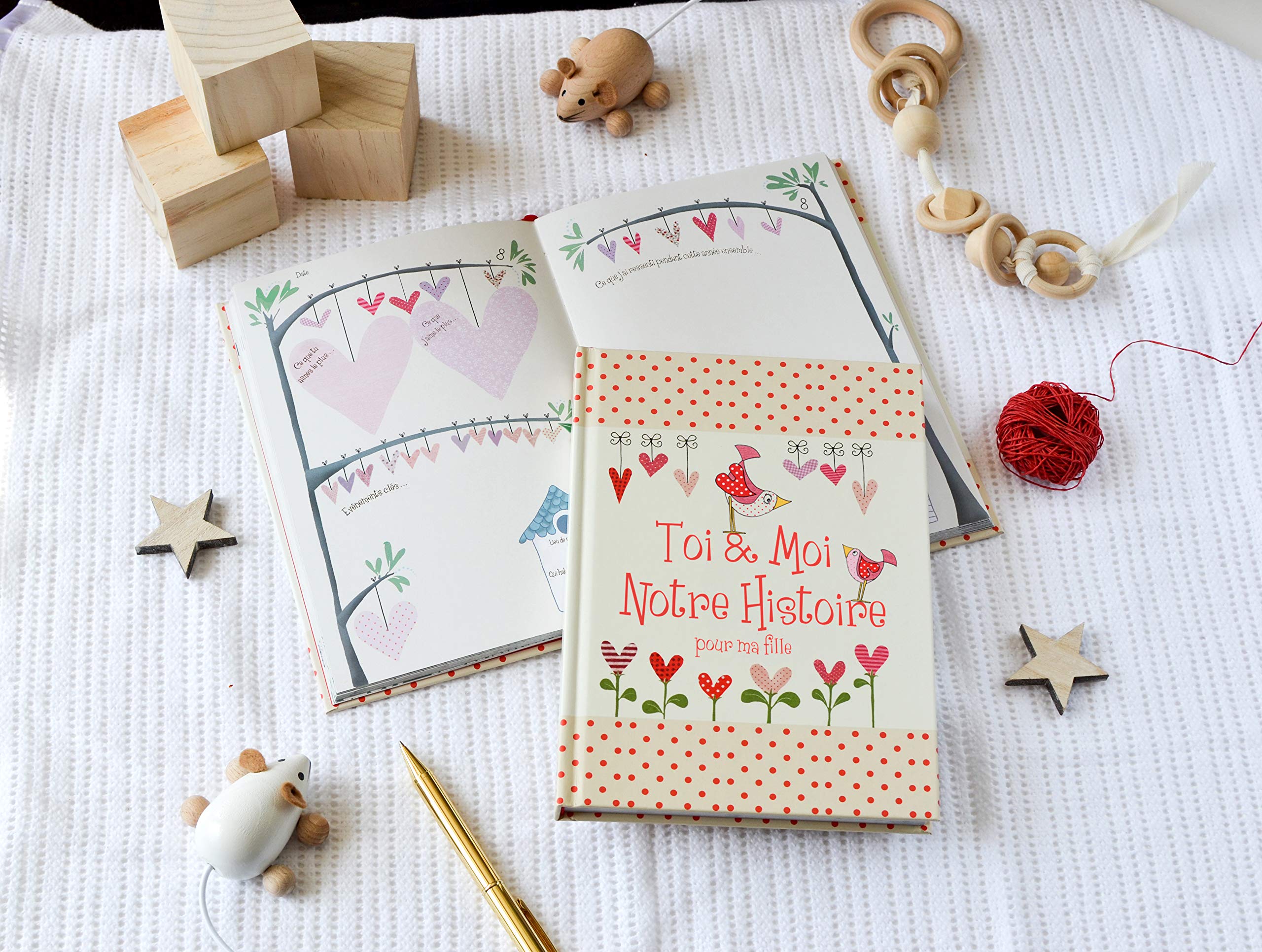 Toi & Moi, Notre Histoire - Pour Ma Fille, cadeau pour les nouvelles mamans. Journal pour conserver tous les magnifiques souvenirs de l'enfance de votre fille, de 0 à 18 ans
