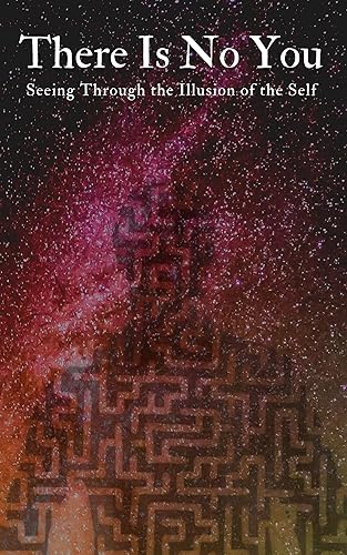 There Is No You Seeing Through the Illusion of the Self