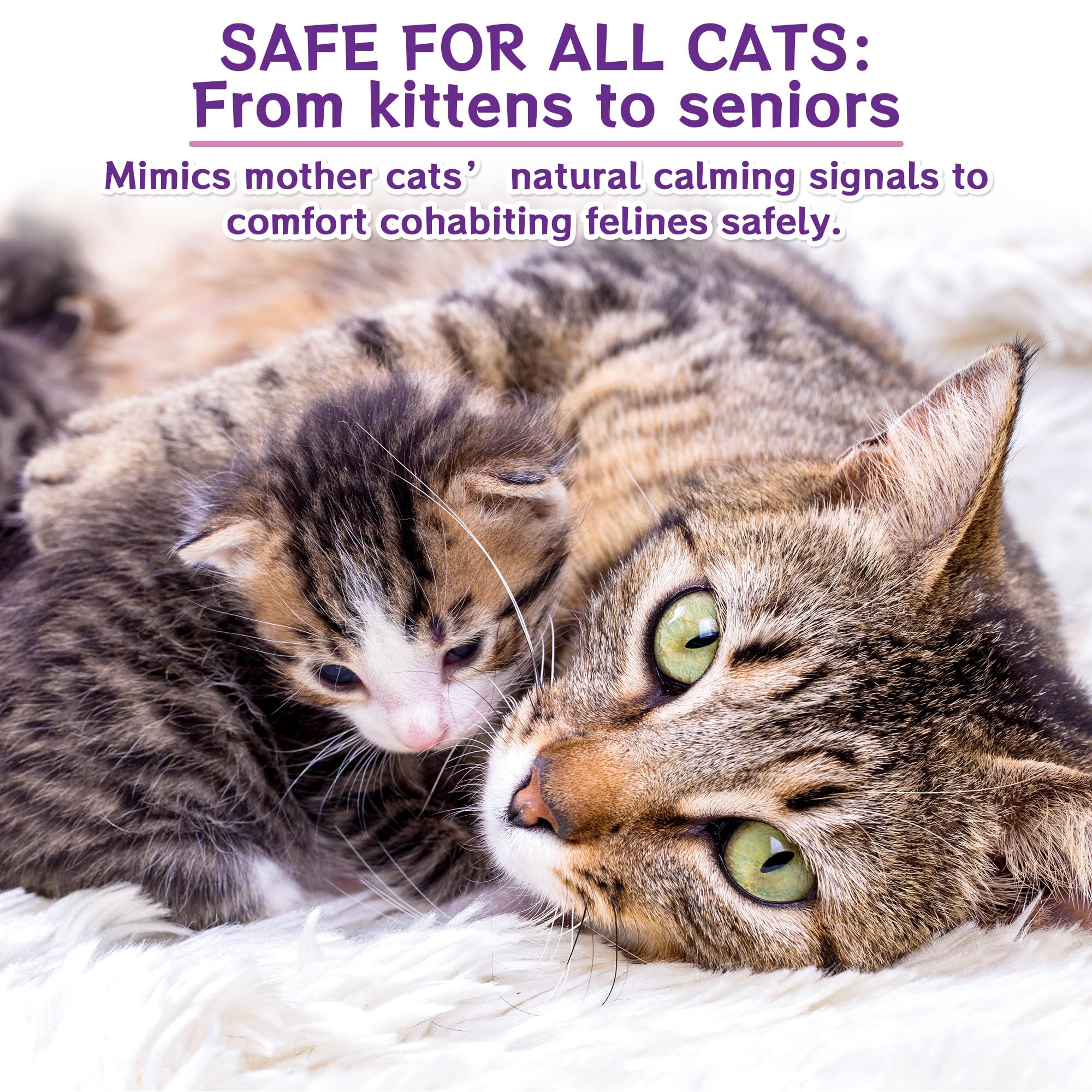 6 IN 1 Katze Pheromon Beruhigende Diffusor (2 Stecker + 4 Refills), Pheromon Diffusor für Katzen, Angst lindern, Helfen, Kämpfe zu reduzieren, Sprühen & Kratzern, Drogenfrei & Geruchlos Sicher 120 Tag - 4