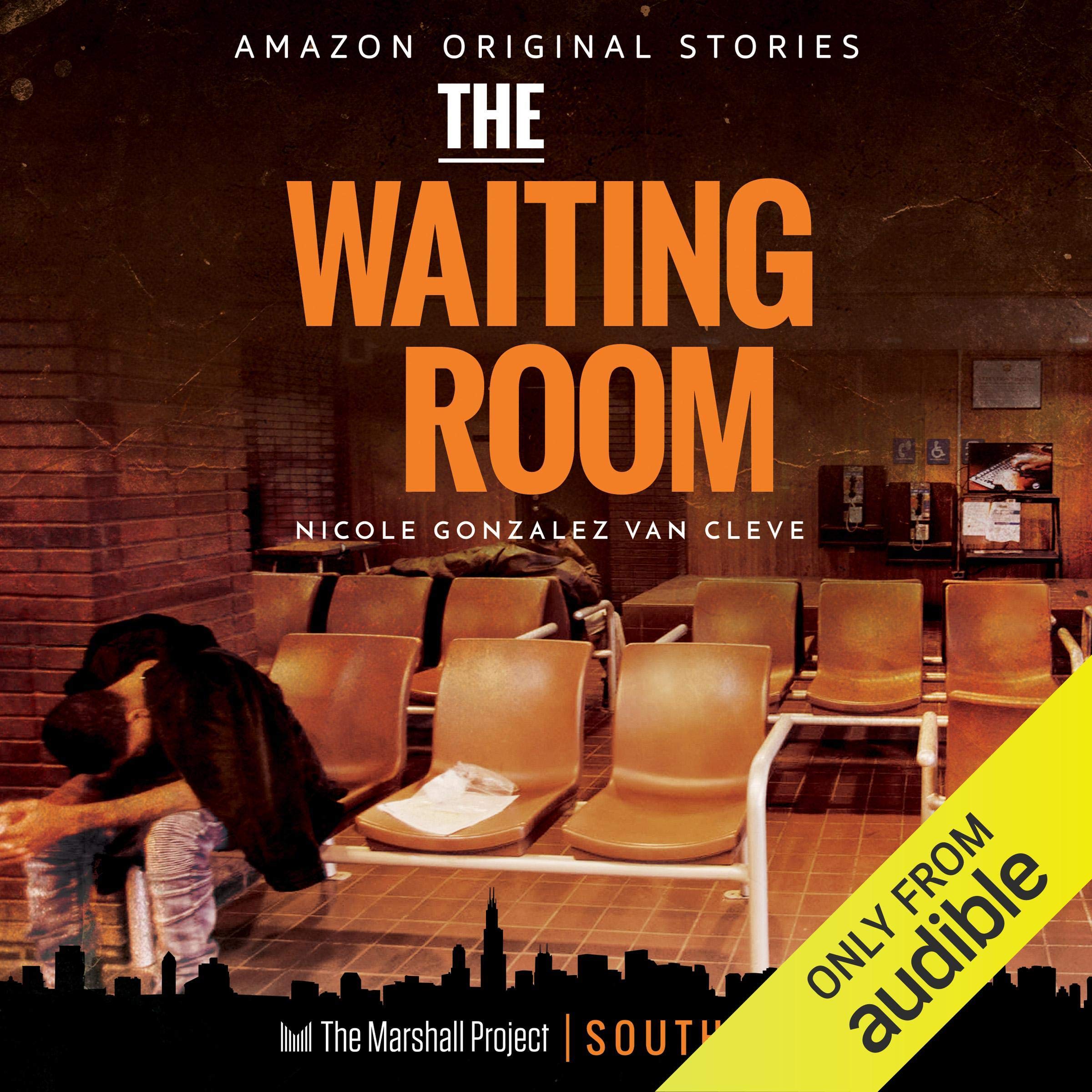 Cover art for The Waiting Room