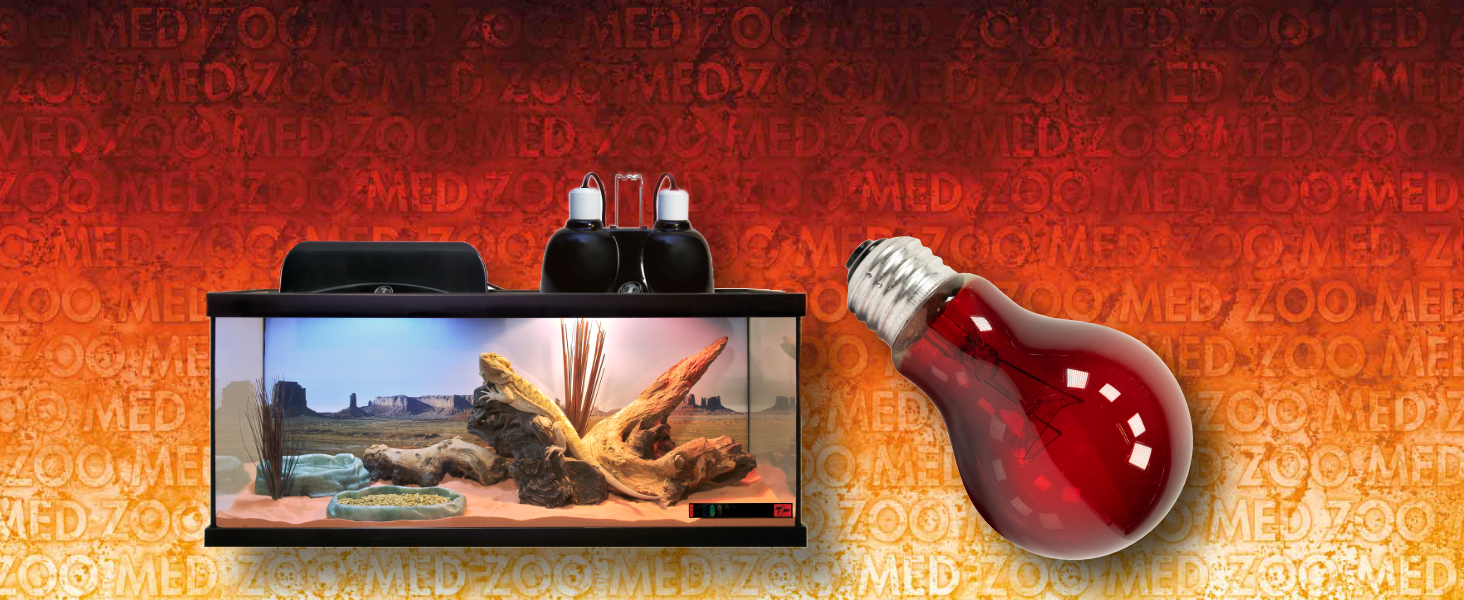 Zoo Med 爬虫類用照明器具 60cm 楽天市場】ZOOMED クランプランプソケット ドーム型