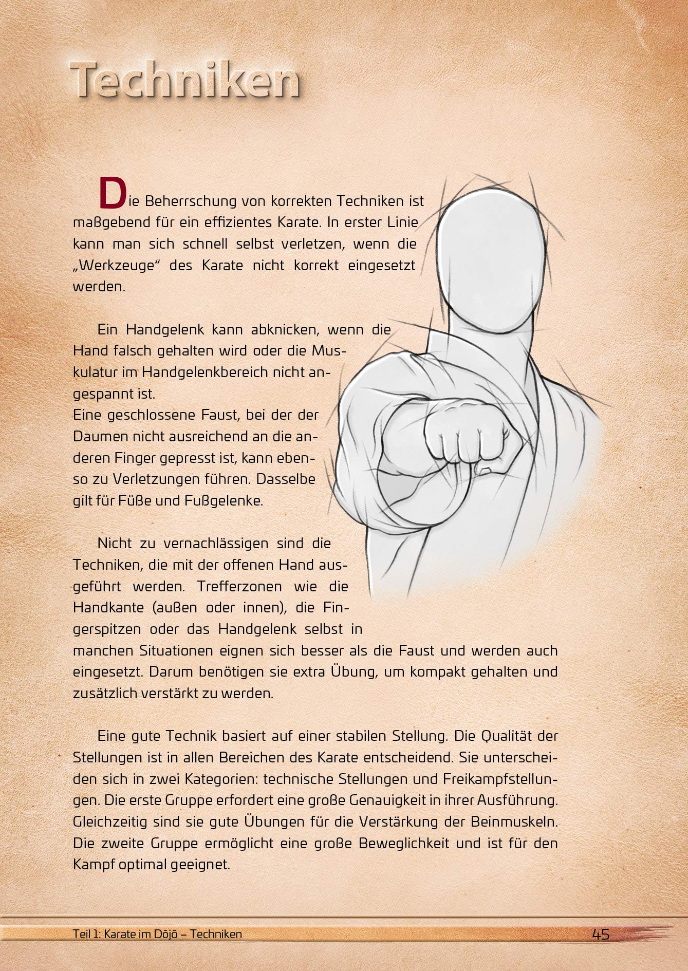 Die Karate-Essenz: Das Handbuch