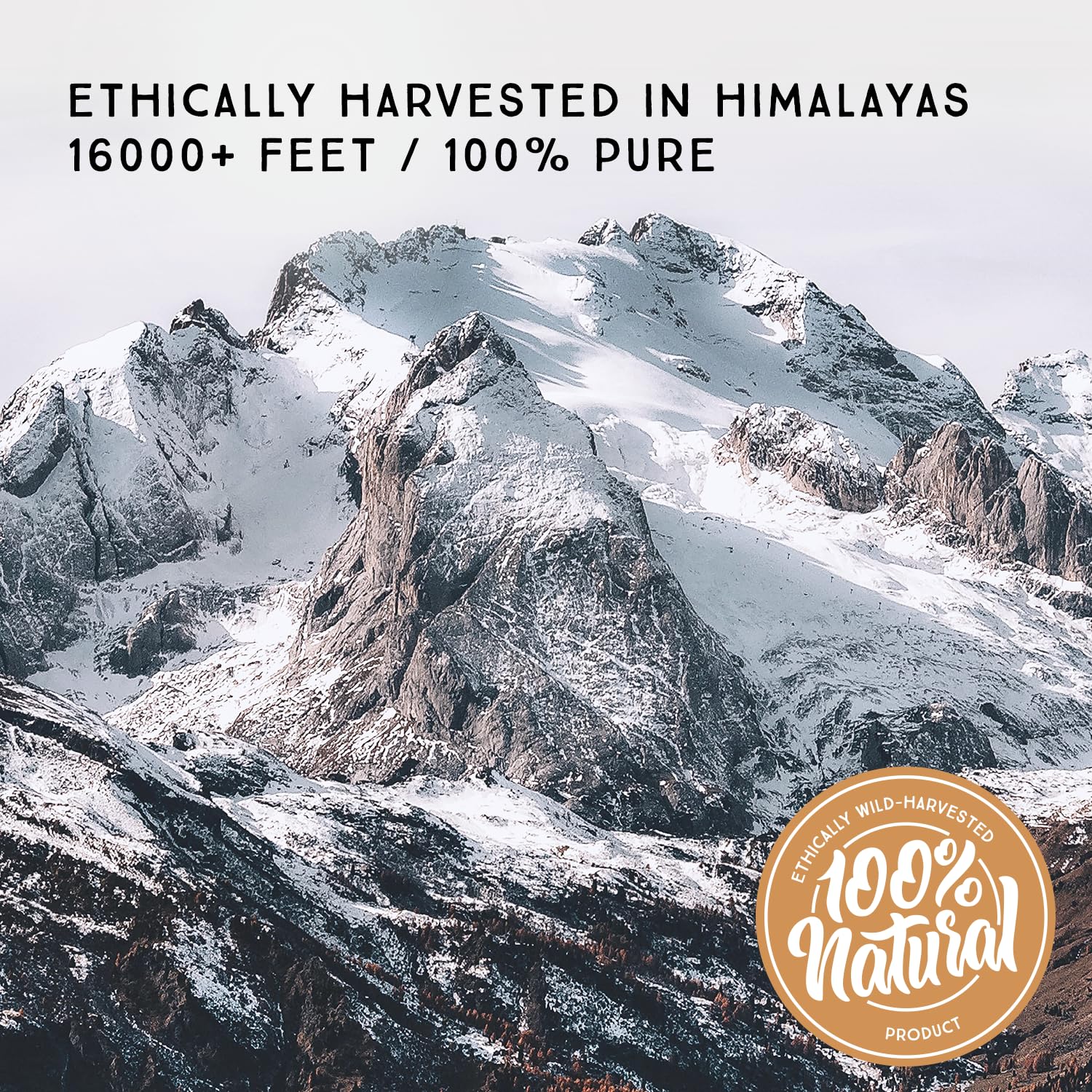 Pure Himalayan Shilajit Resin - Organic, High Fulvic Acid, 2oz - Immune & Energy Support