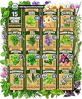 Vista 28 de HOME GROWN Semillas de eneldo sin OMG para plantar 1,014 ramos de semillas de eneldo y semillas de hierbas tradicionales para plantar al aire libre