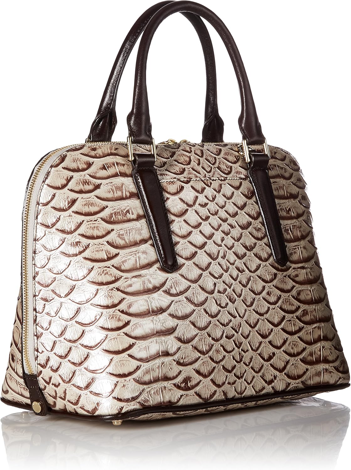 BRAHMIN Vivian