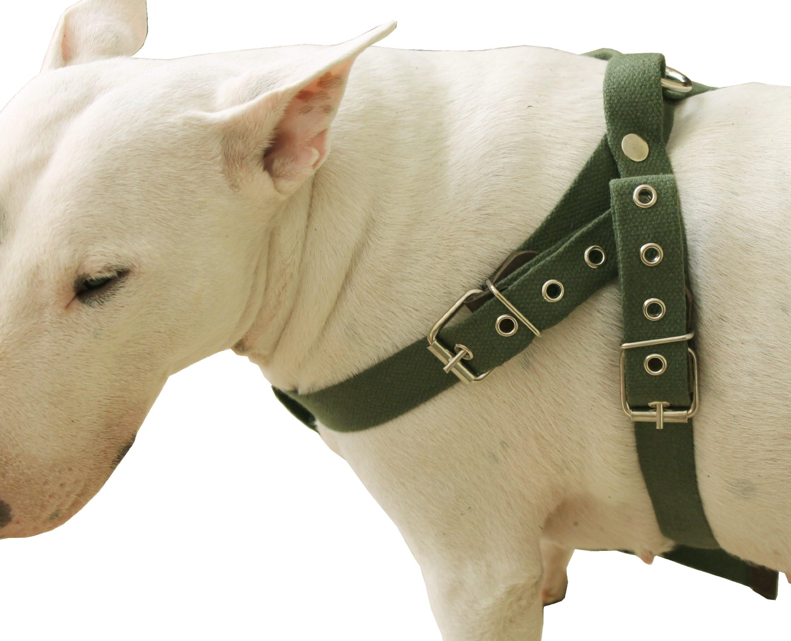 Cotton Web Dog Harness. Fits Girth 26"-32". 1" Wide Straps, Amstaff, Pitbull, Bulldog