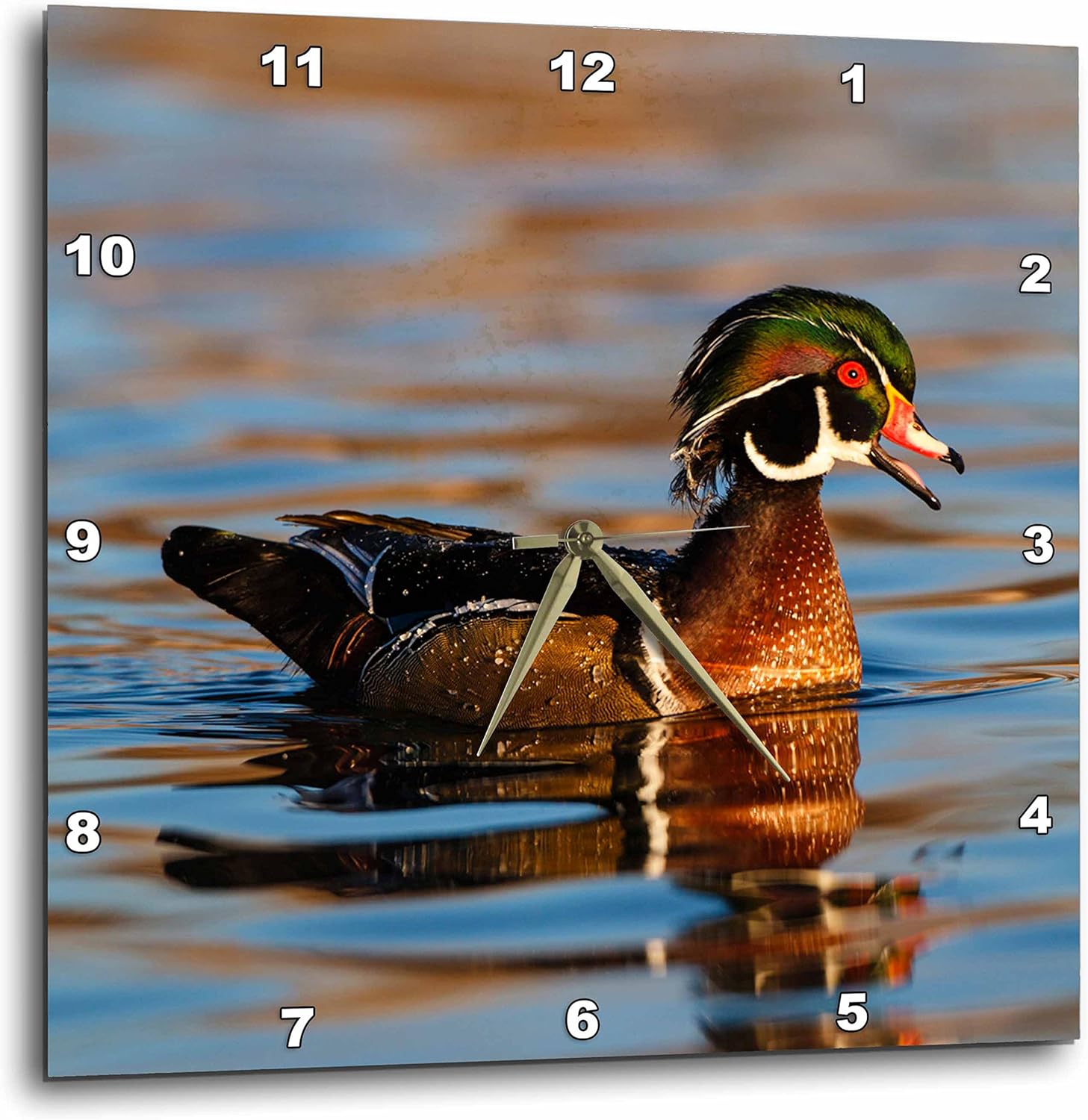 3D Rose Wood Ducks Male in Pond Wall Clock, 15" x 15"