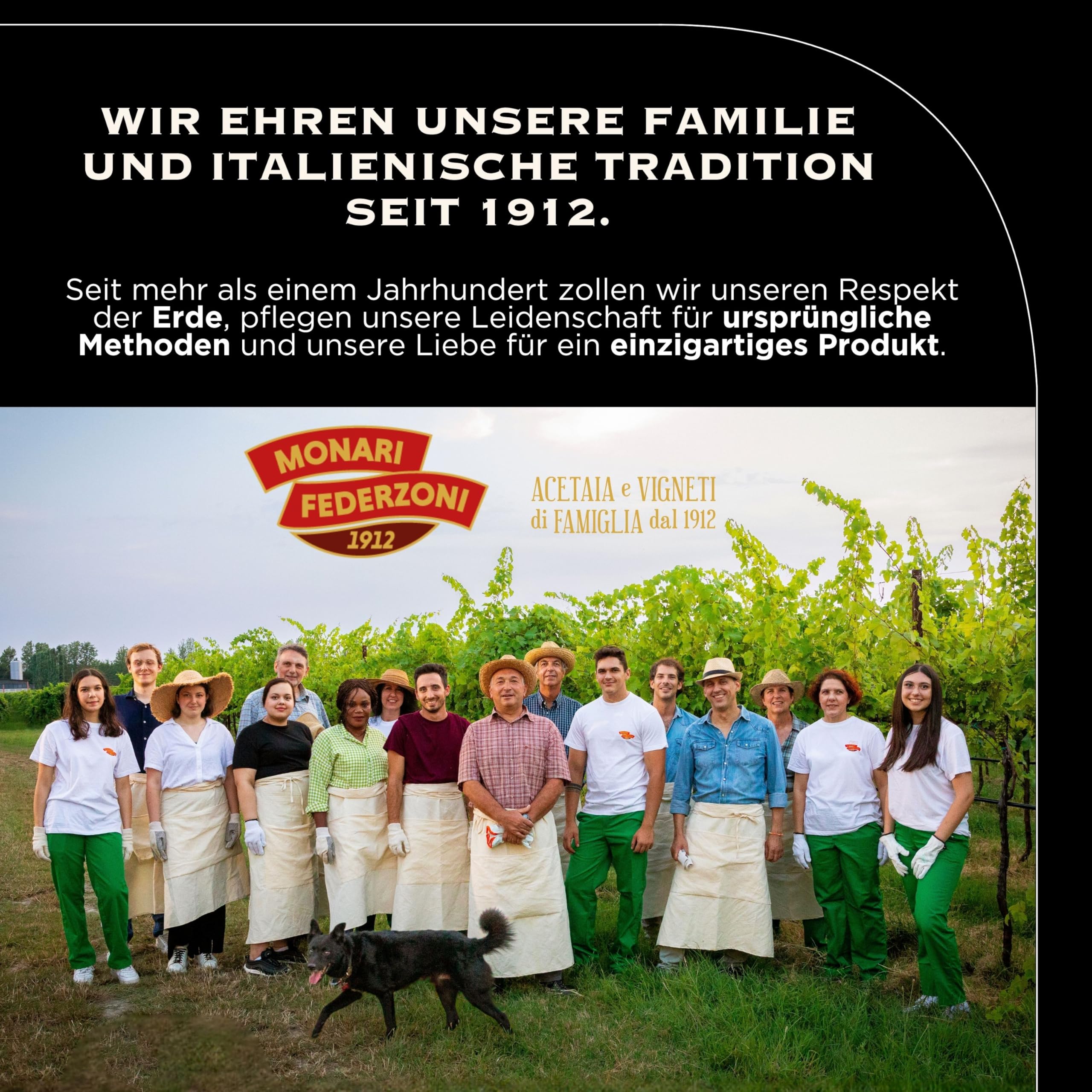 Monari Federzoni Aceto Balsamico Tradizionale di Modena DOP Affinato 12 Anni 100 ml
