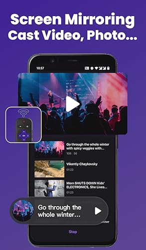 Remote Control for RokuTV
